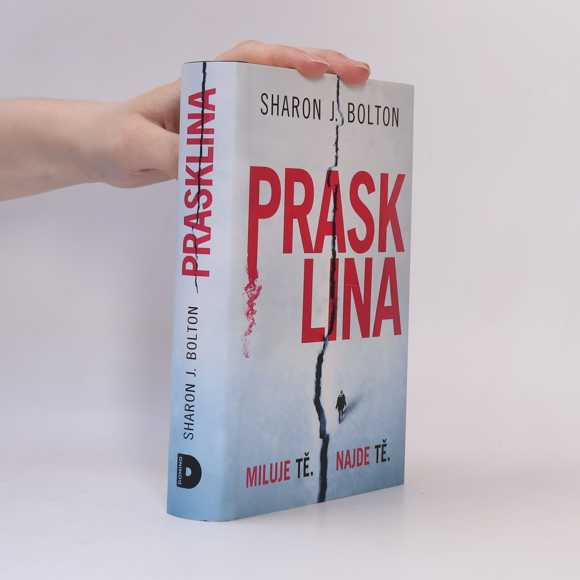 Sharon Bolton Prasklina