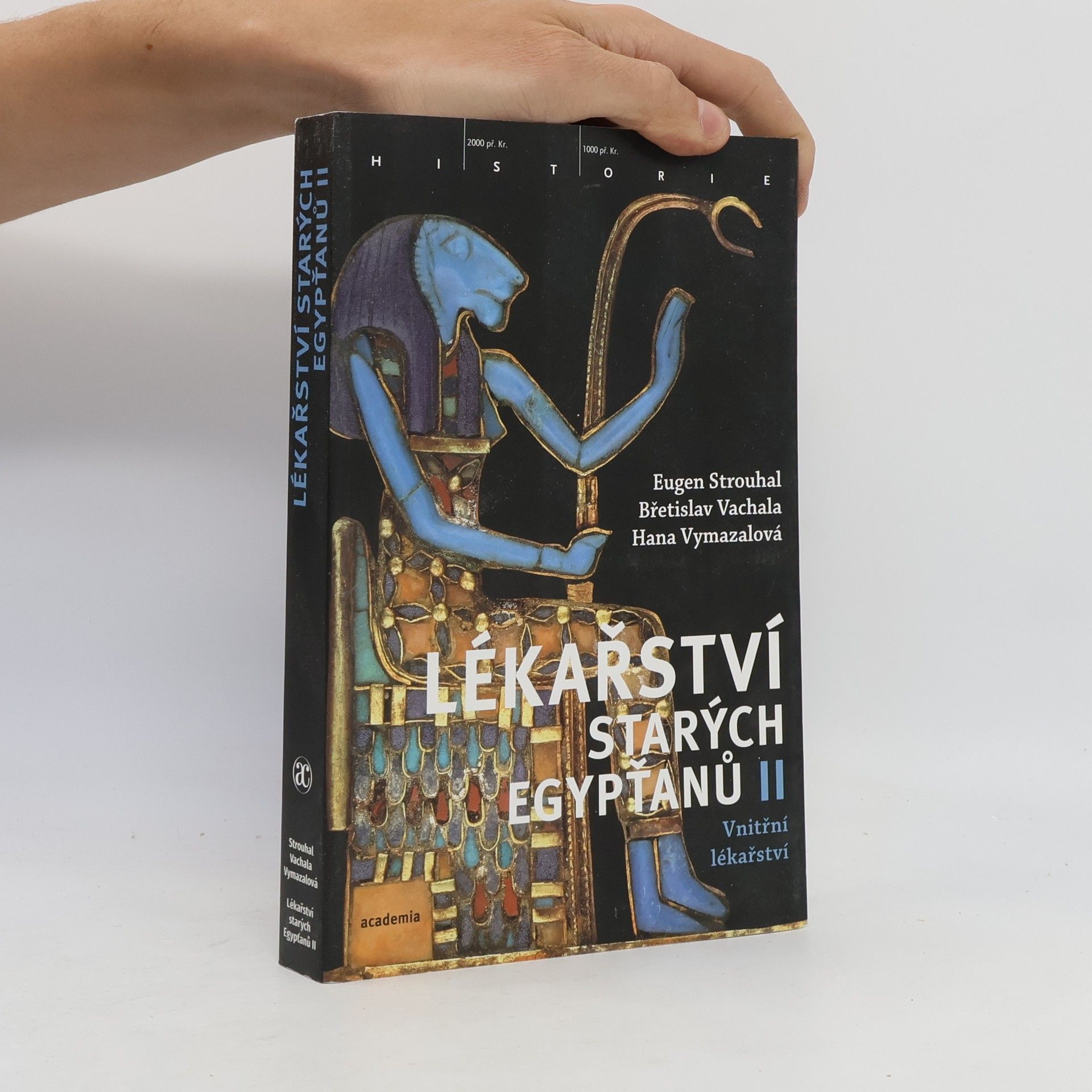 Lékařství starých Egypťanů II.: Vnitřní lékařství