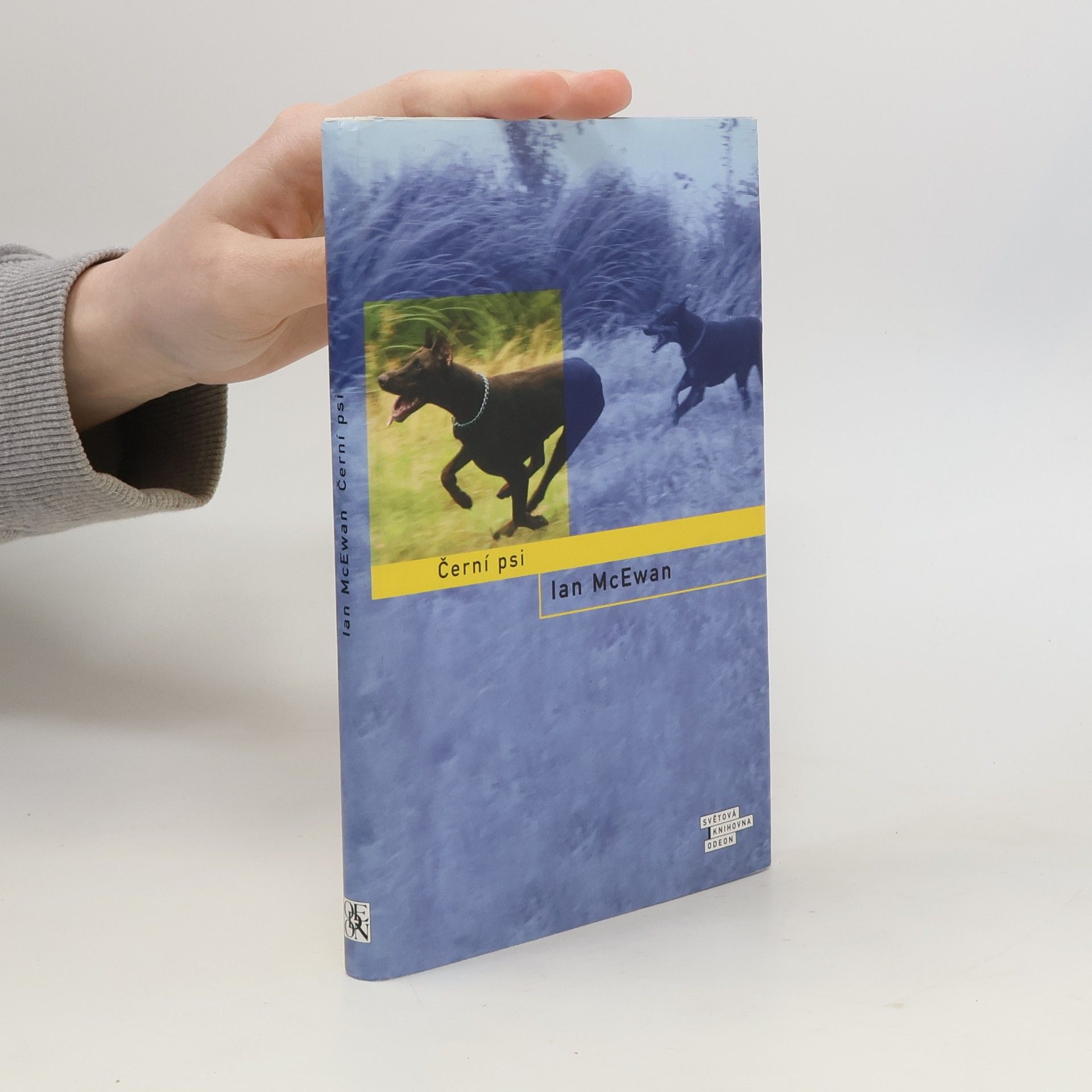 Ian McEwan Černí psi