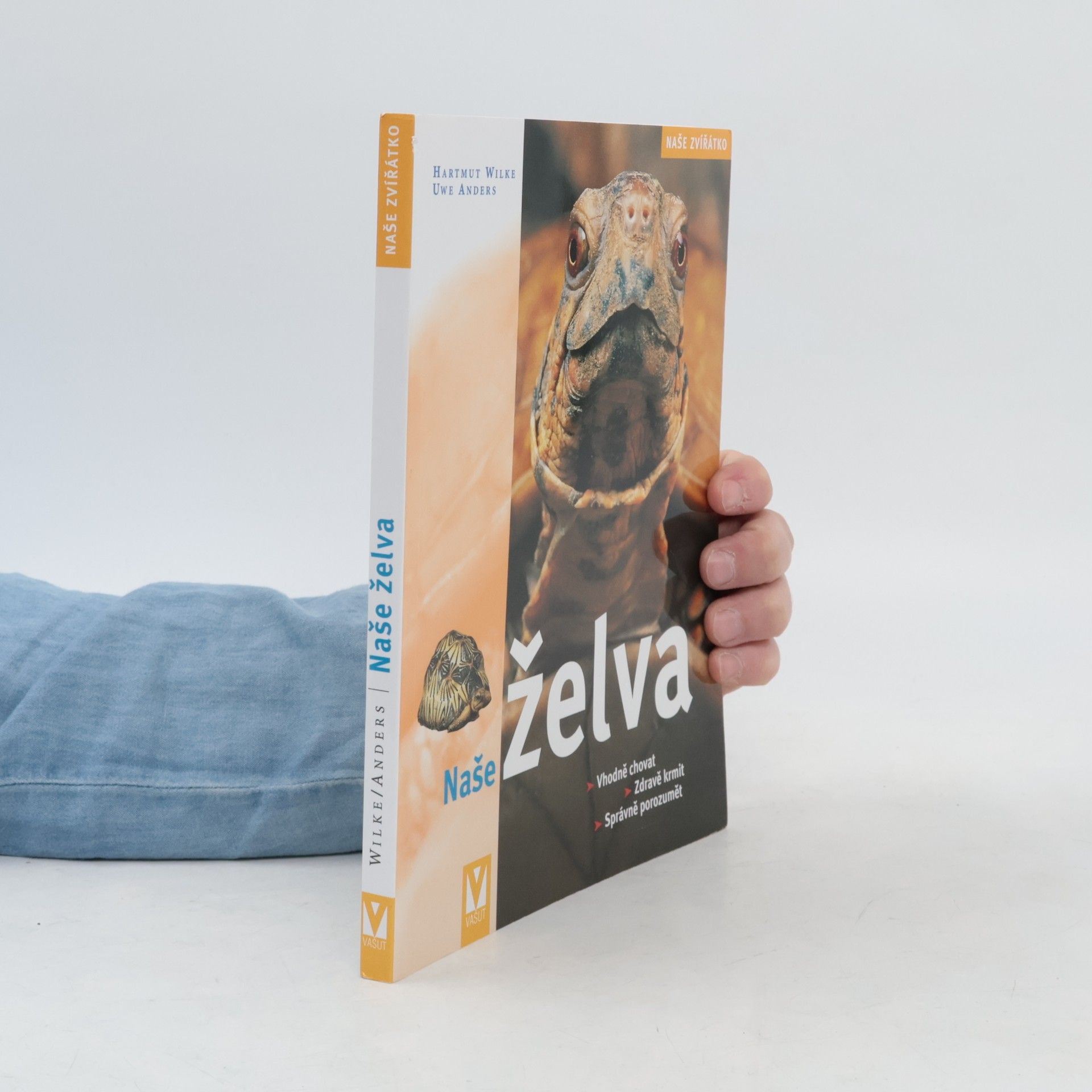 Naše želva
