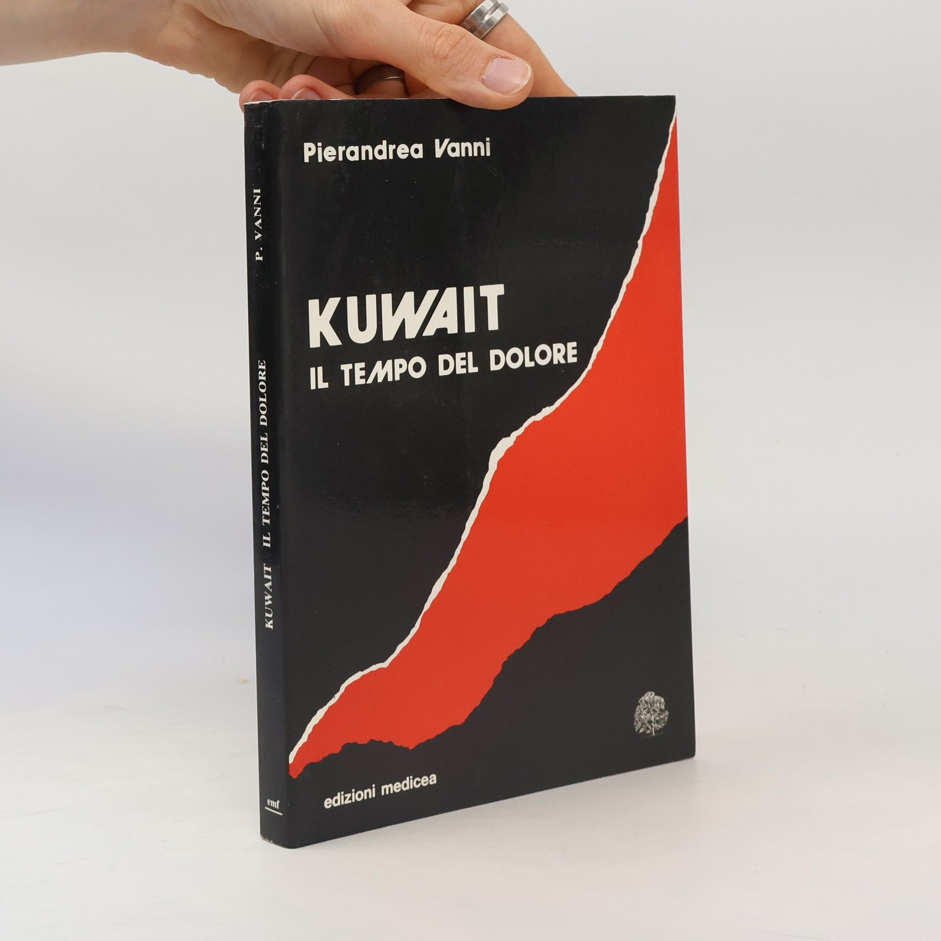 Pierandrea Vanni Kuwait. Kuwait: Il tempo del dolore