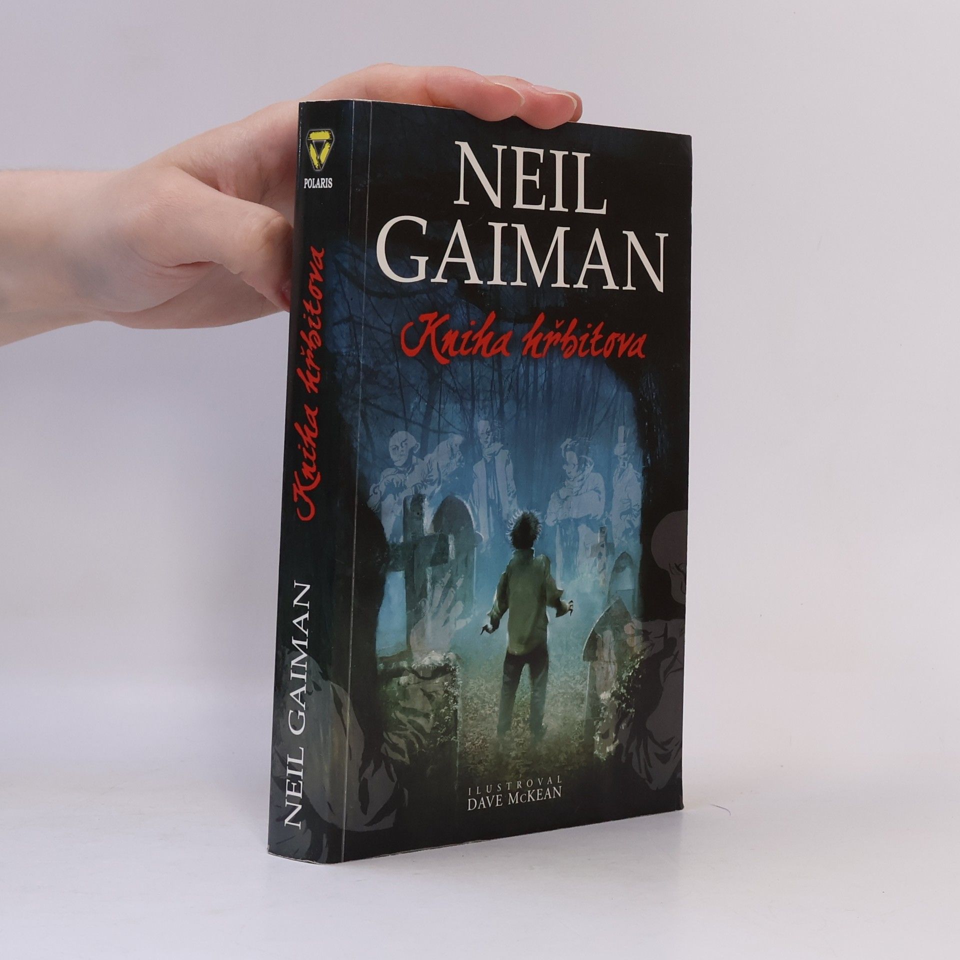 Neil Gaiman Kniha hřbitova