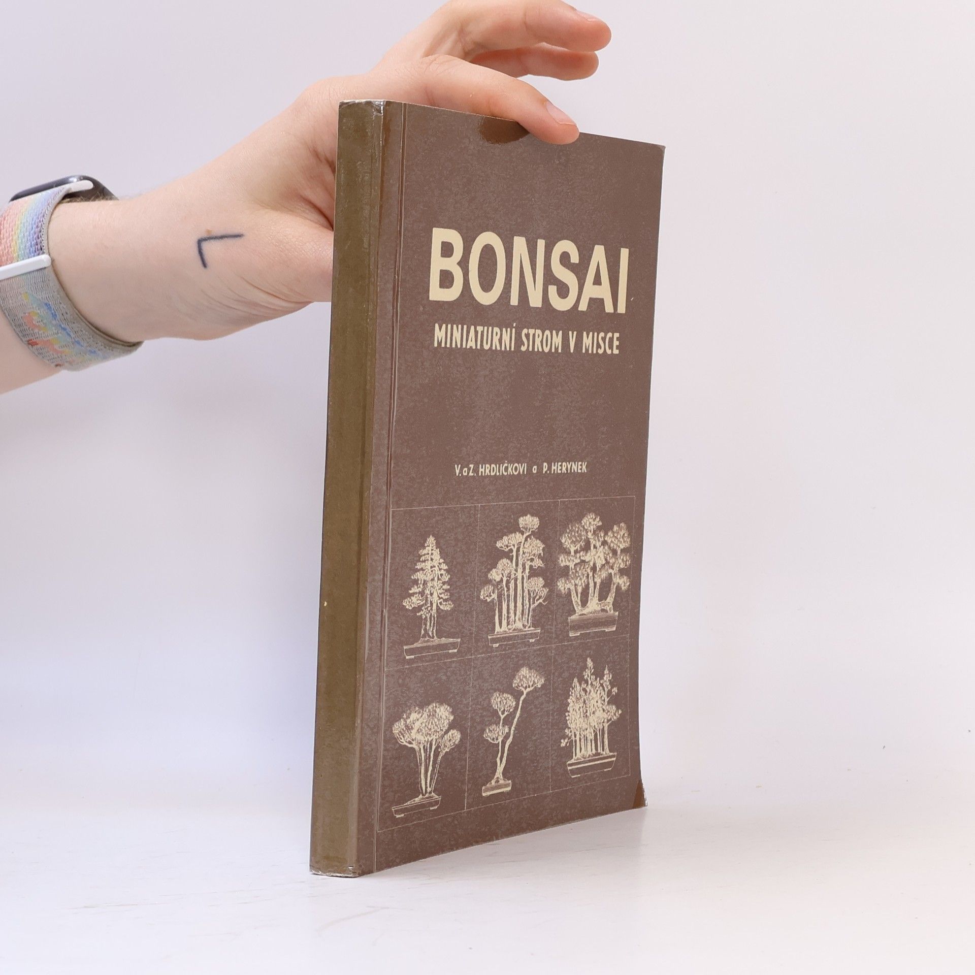 Zdeněk Hrdlička Bonsai. Miniaturní strom v misce