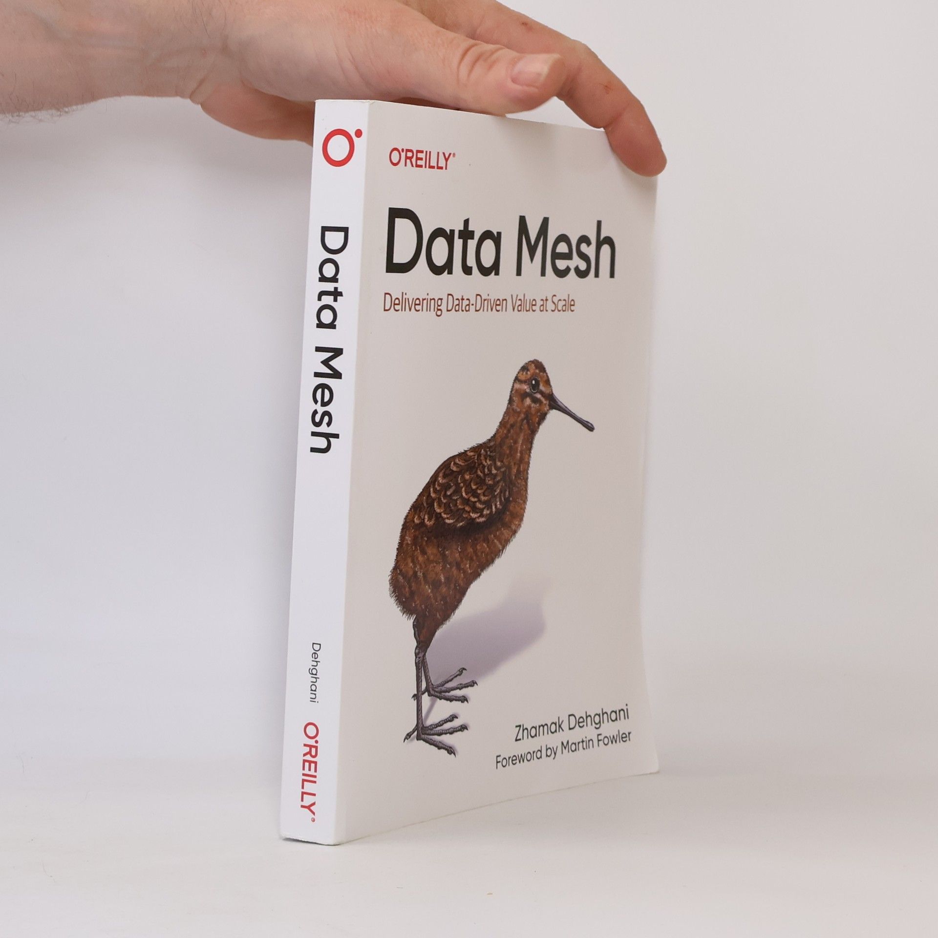 Zhamak Dehghani Data Mesh