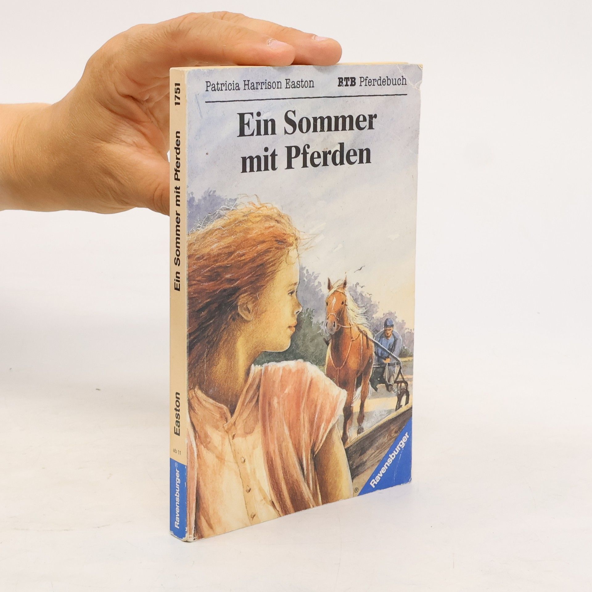 Patricia Harrison Easton Ein Sommer mit Pferden.