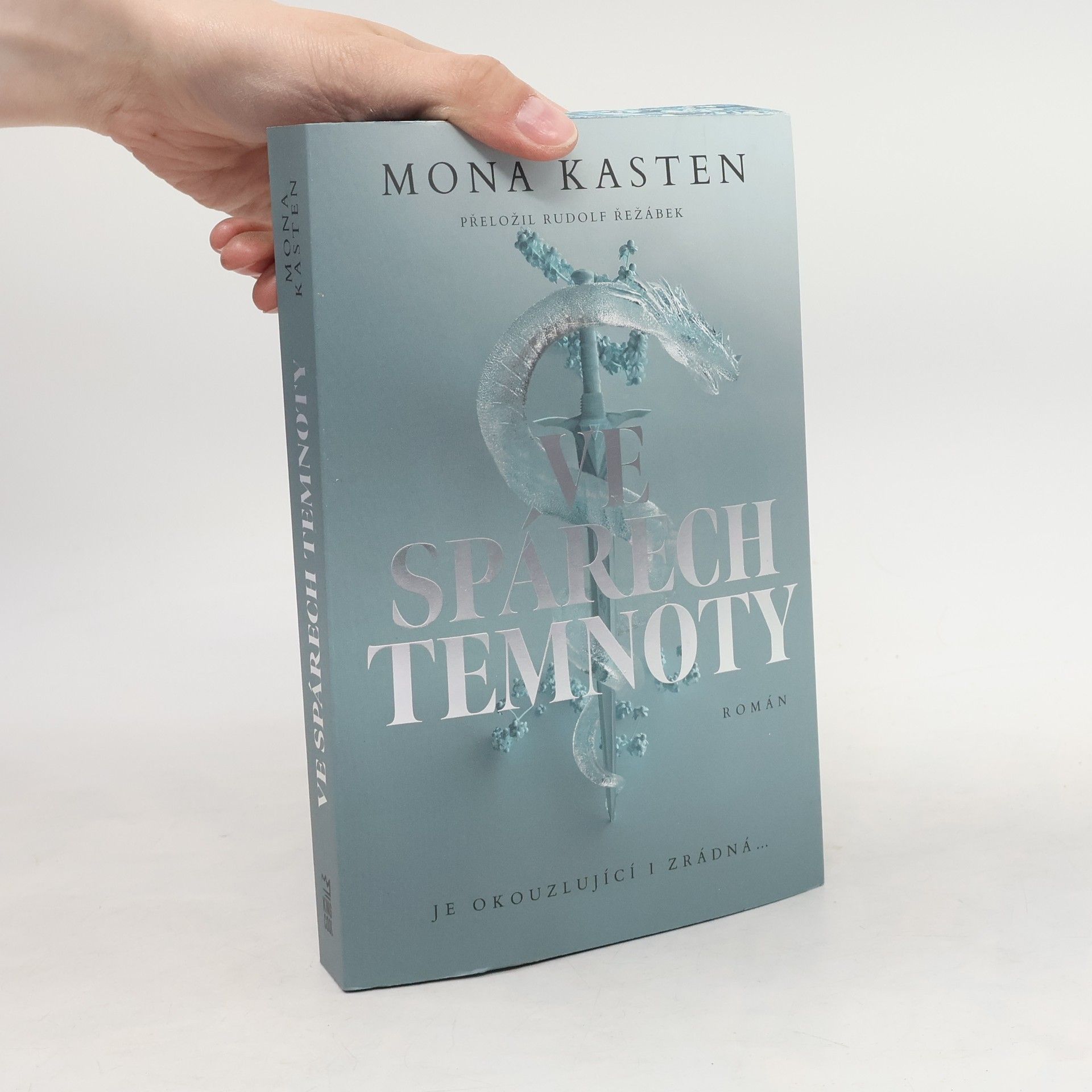 Mona Kasten Ve spárech temnoty