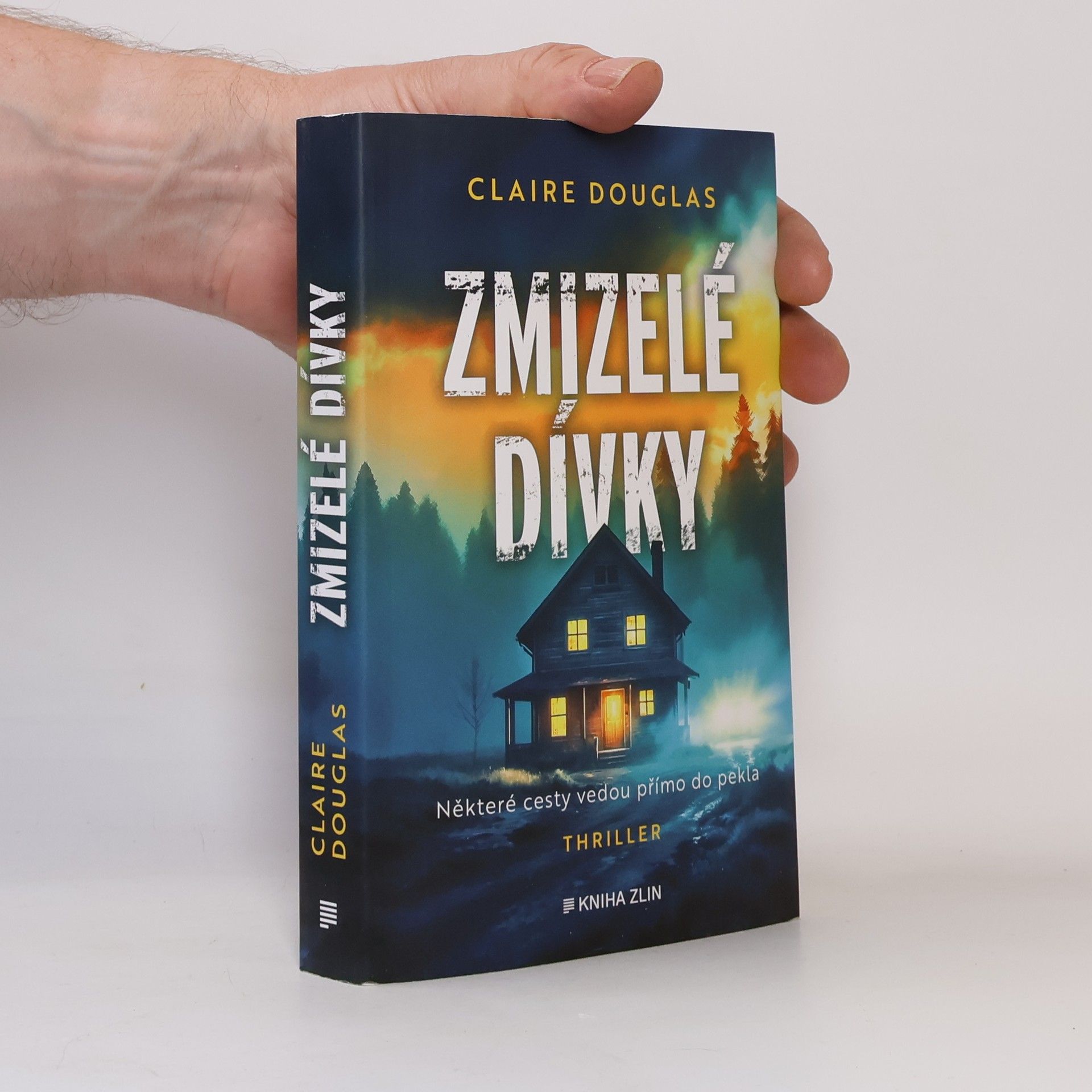 Claire Douglas Zmizelé dívky