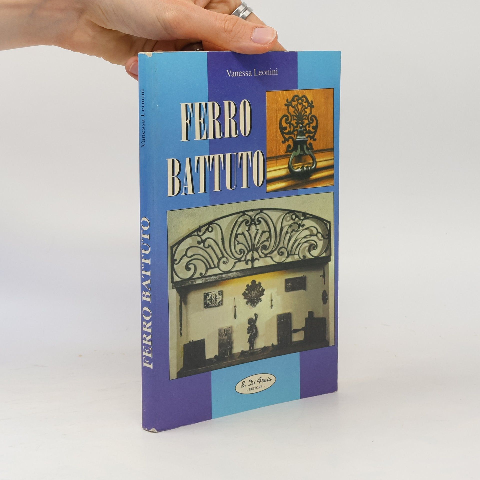 Vanessa Leonini Ferro battuto
