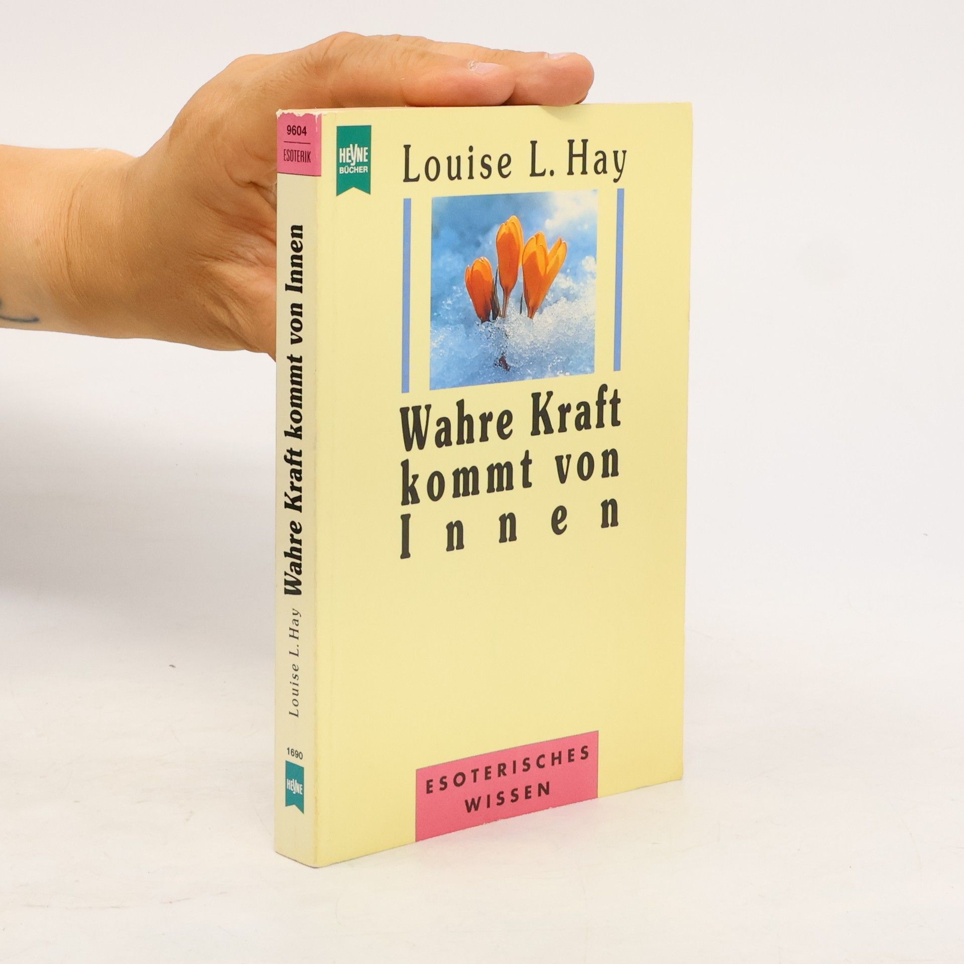 Louise Lynn Hay Wahre Kraft kommt von Innen