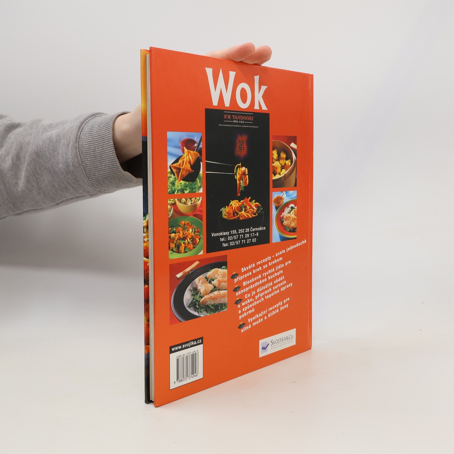 Angelika Ilies Wok snadno a rychle