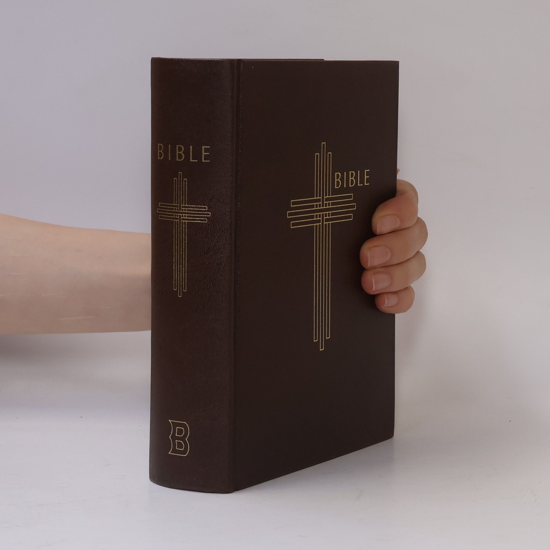 Collectif d'auteurs Bible. Písmo svaté Starého a Nového zákona