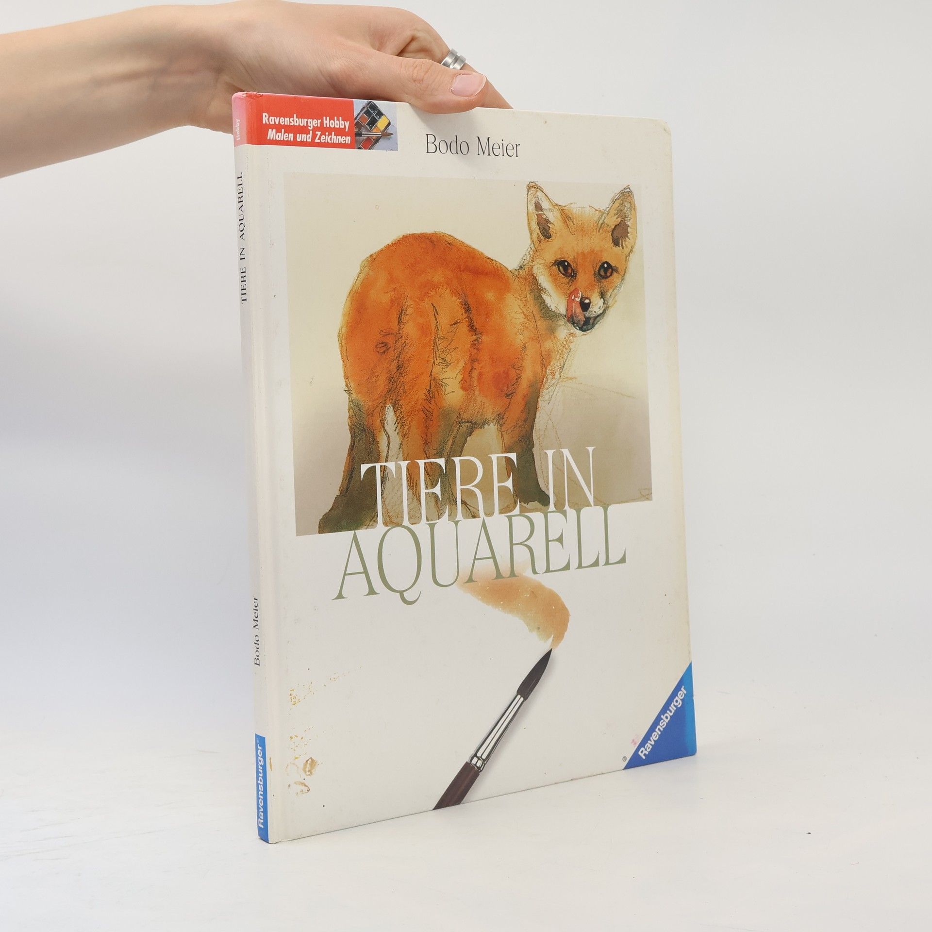 Tiere in Aquarell