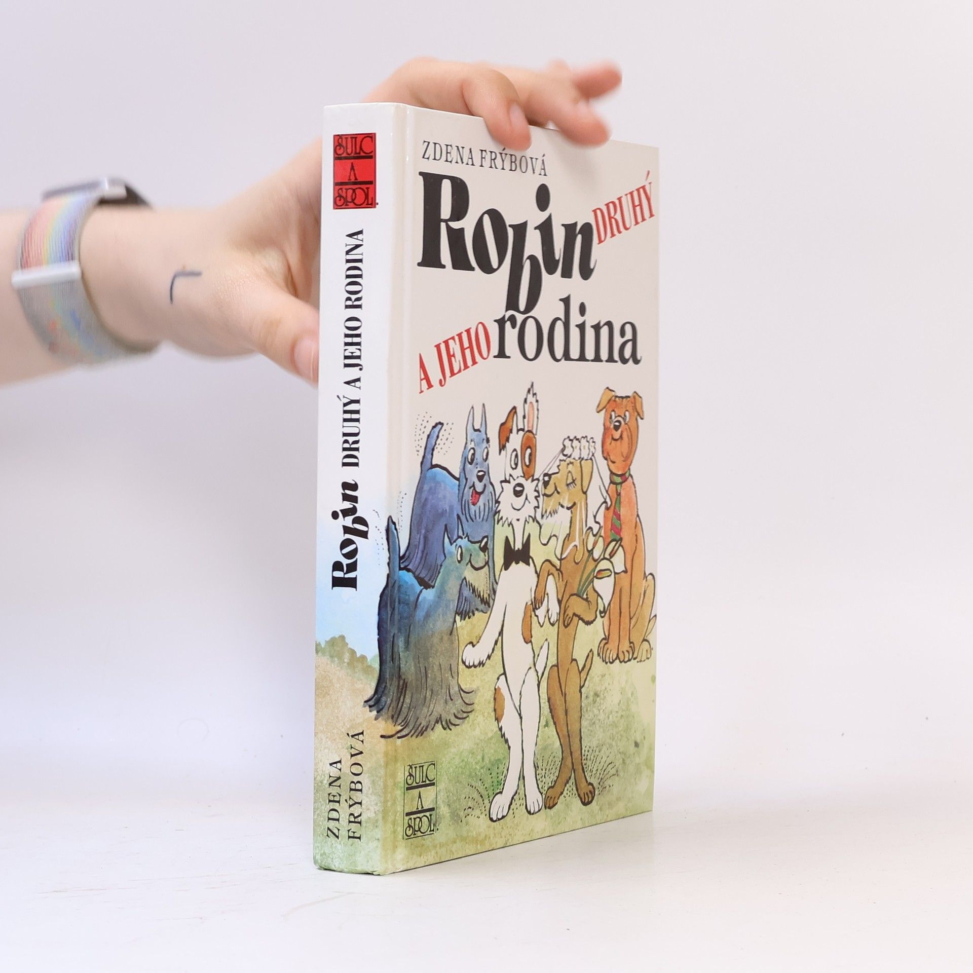 Robin Druhý a jeho rodina