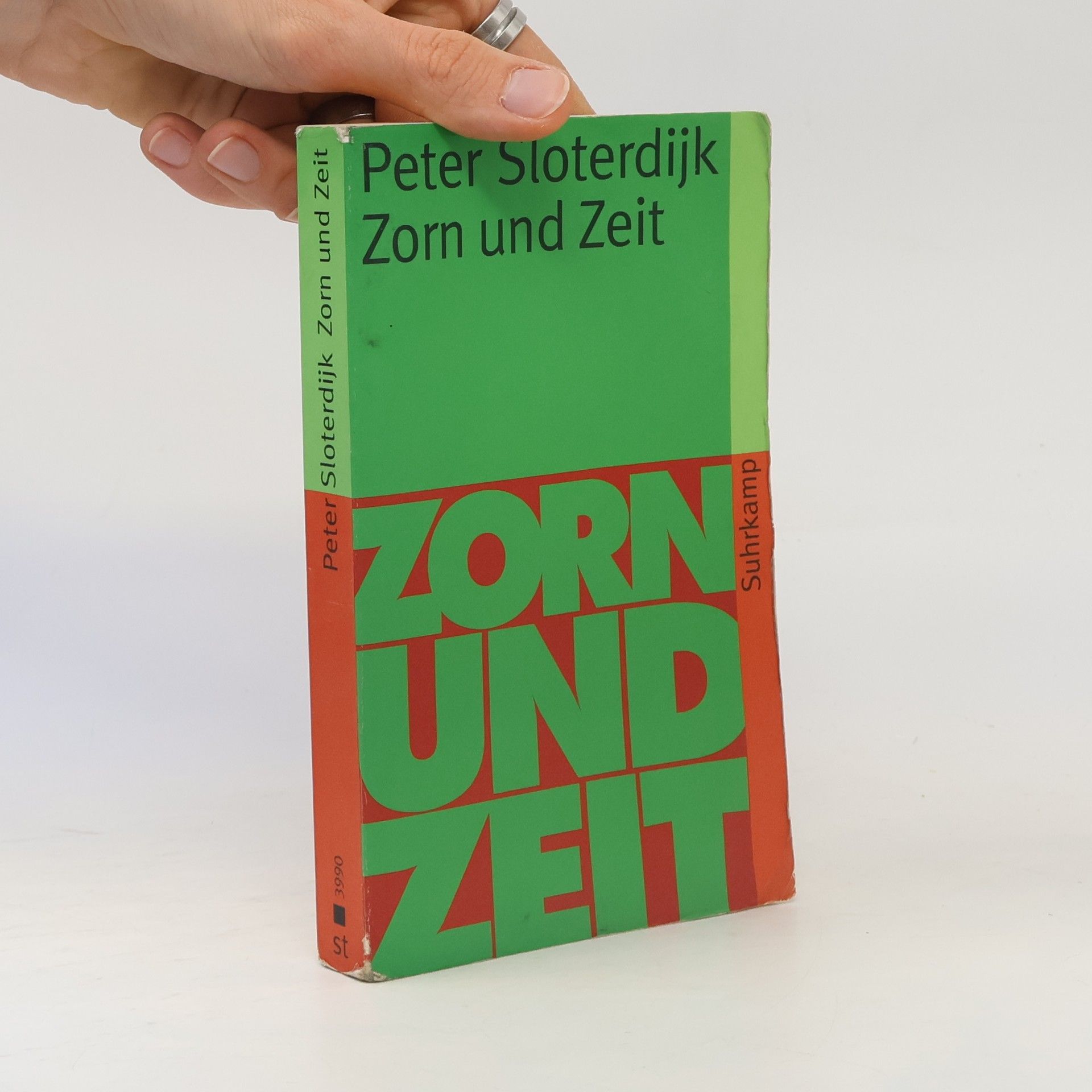 Peter Sloterdijk Zorn und Zeit