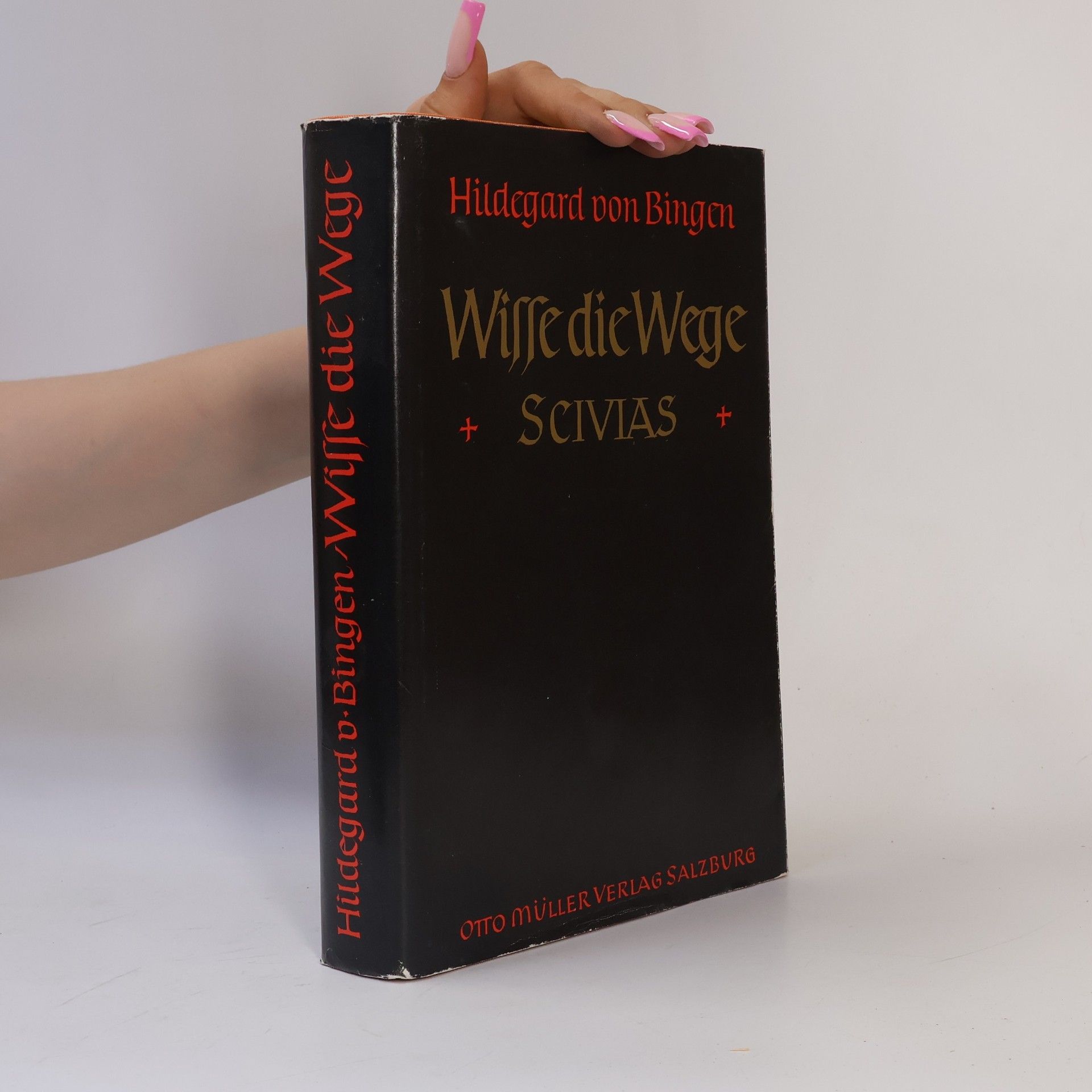 Wisse die Wege Scivias