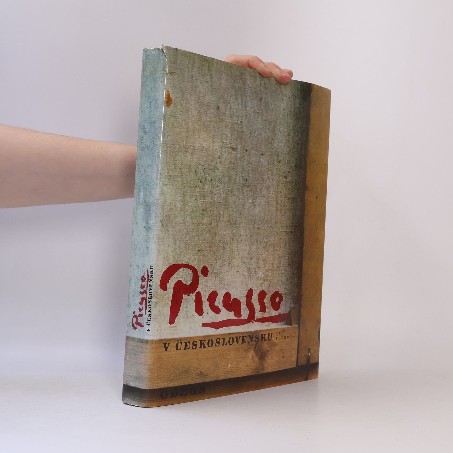 Eva Petrová Picasso v Československu
