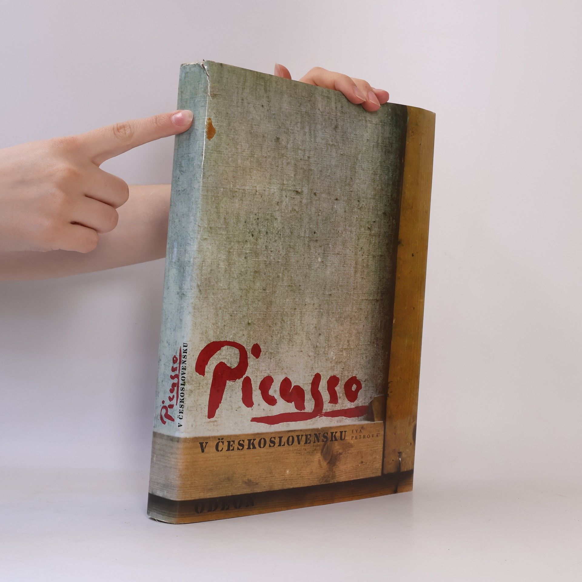 Eva Petrová Picasso v Československu