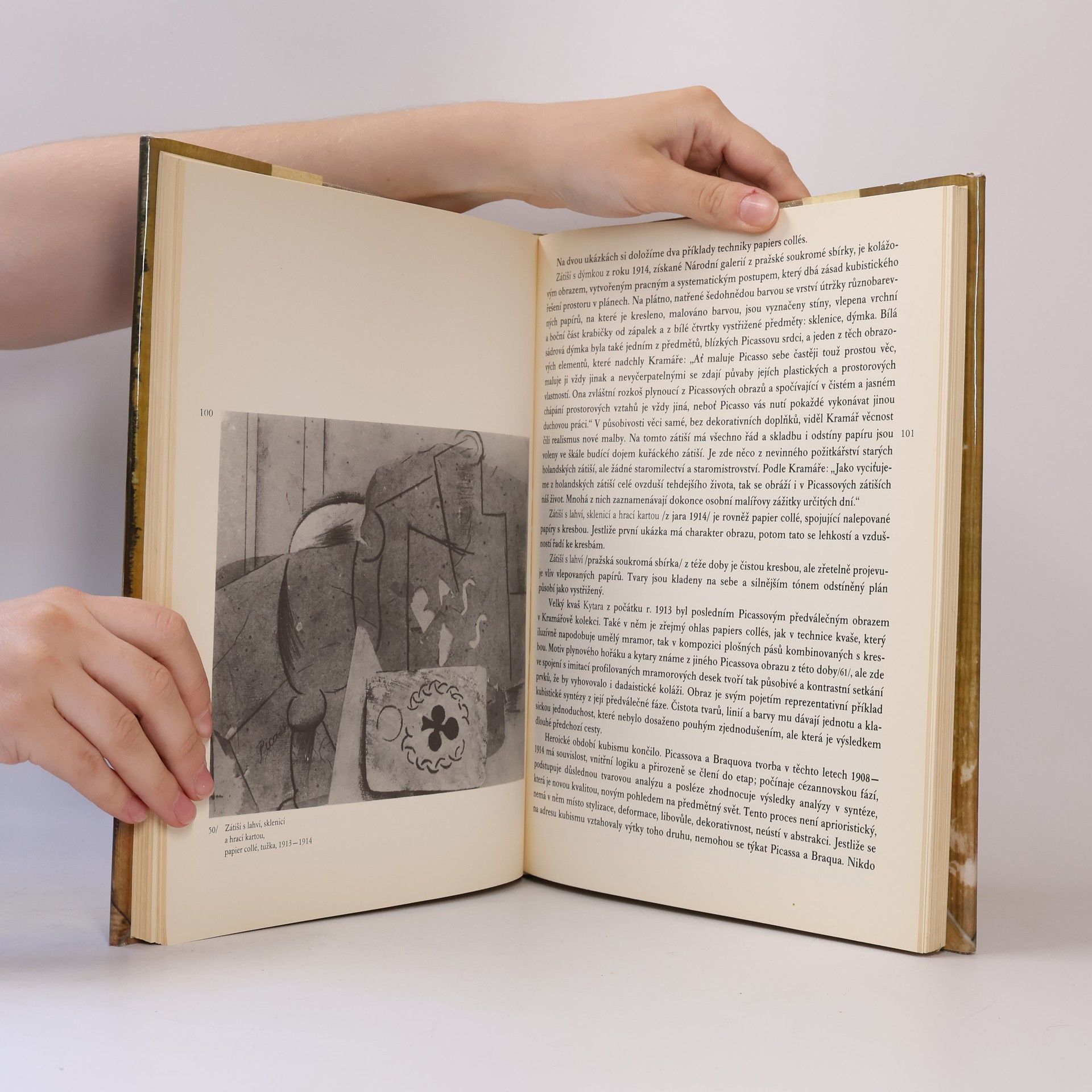 Eva Petrová Picasso v Československu