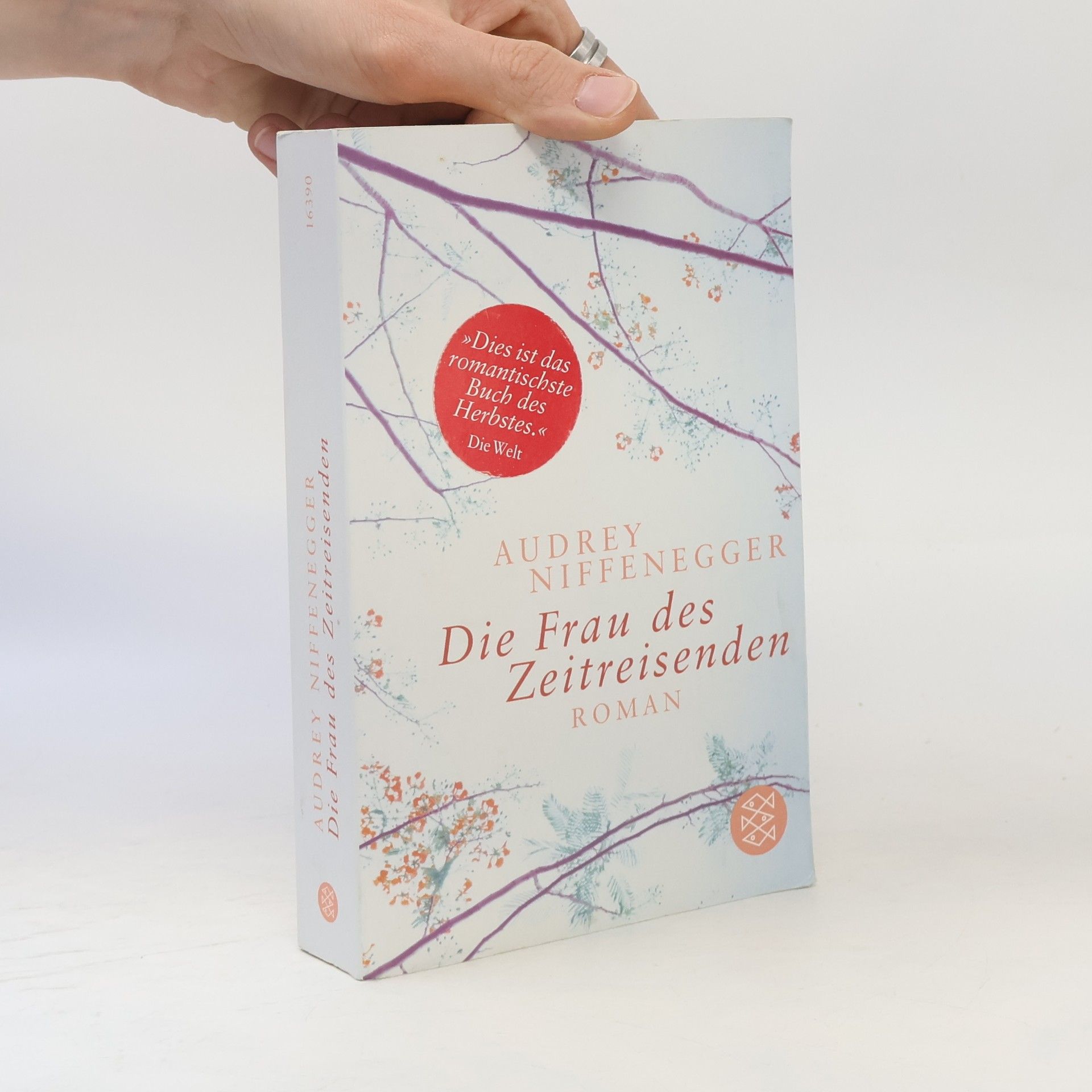 Audrey Niffenegger Die Frau des Zeitreisenden