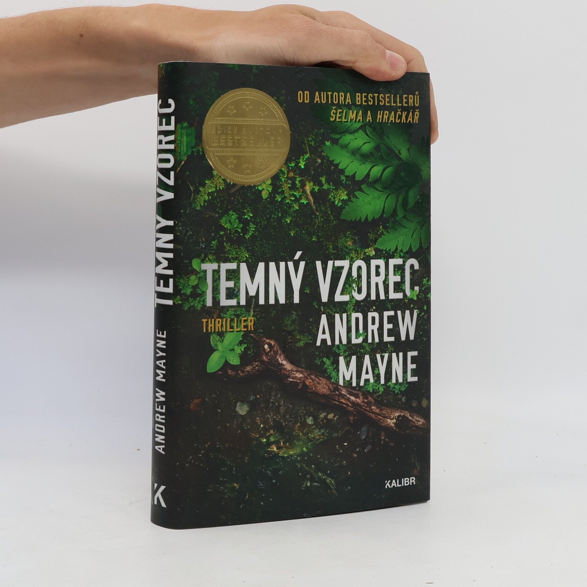 Andrew Mayne Temný vzorec