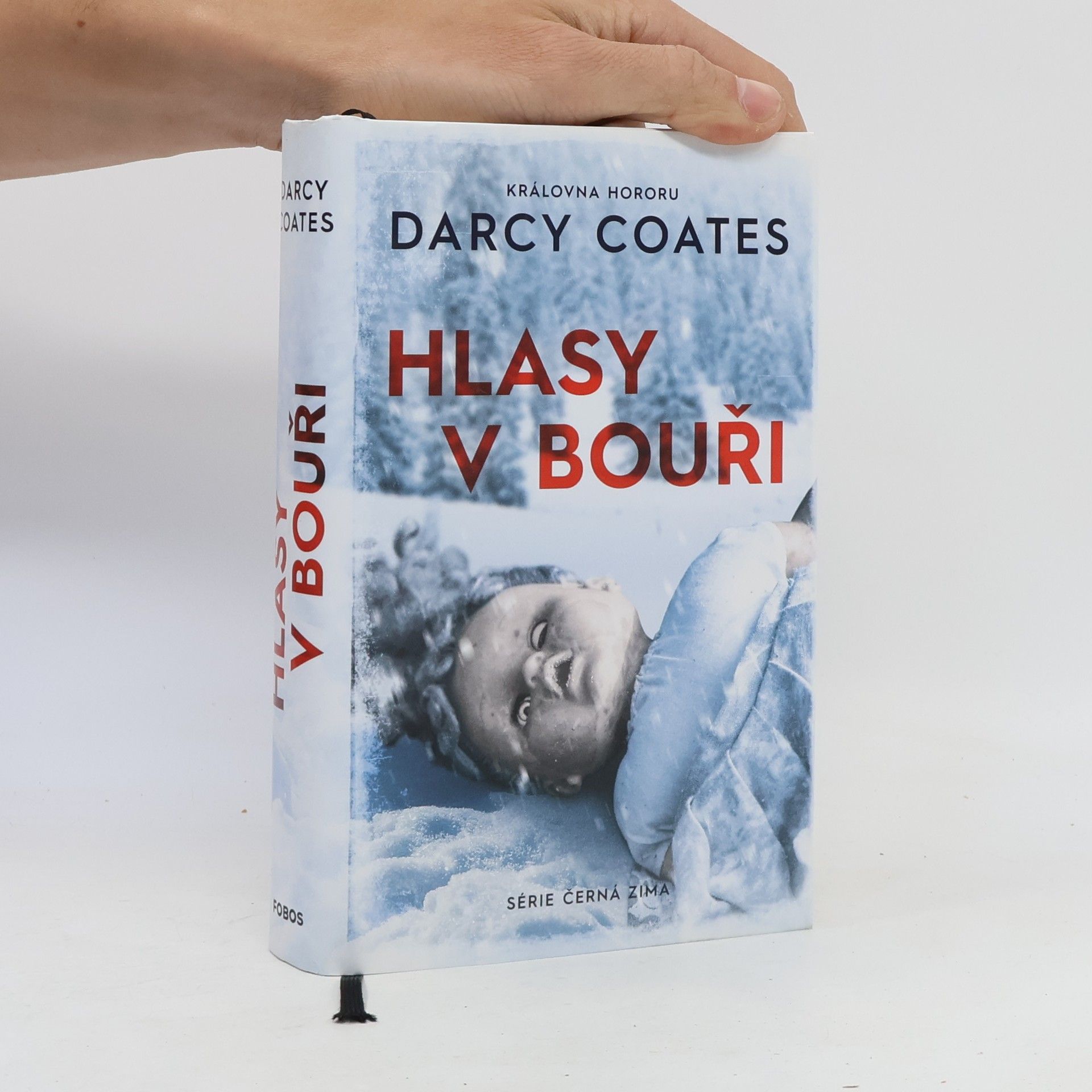 Darcy Coates Hlasy v bouři