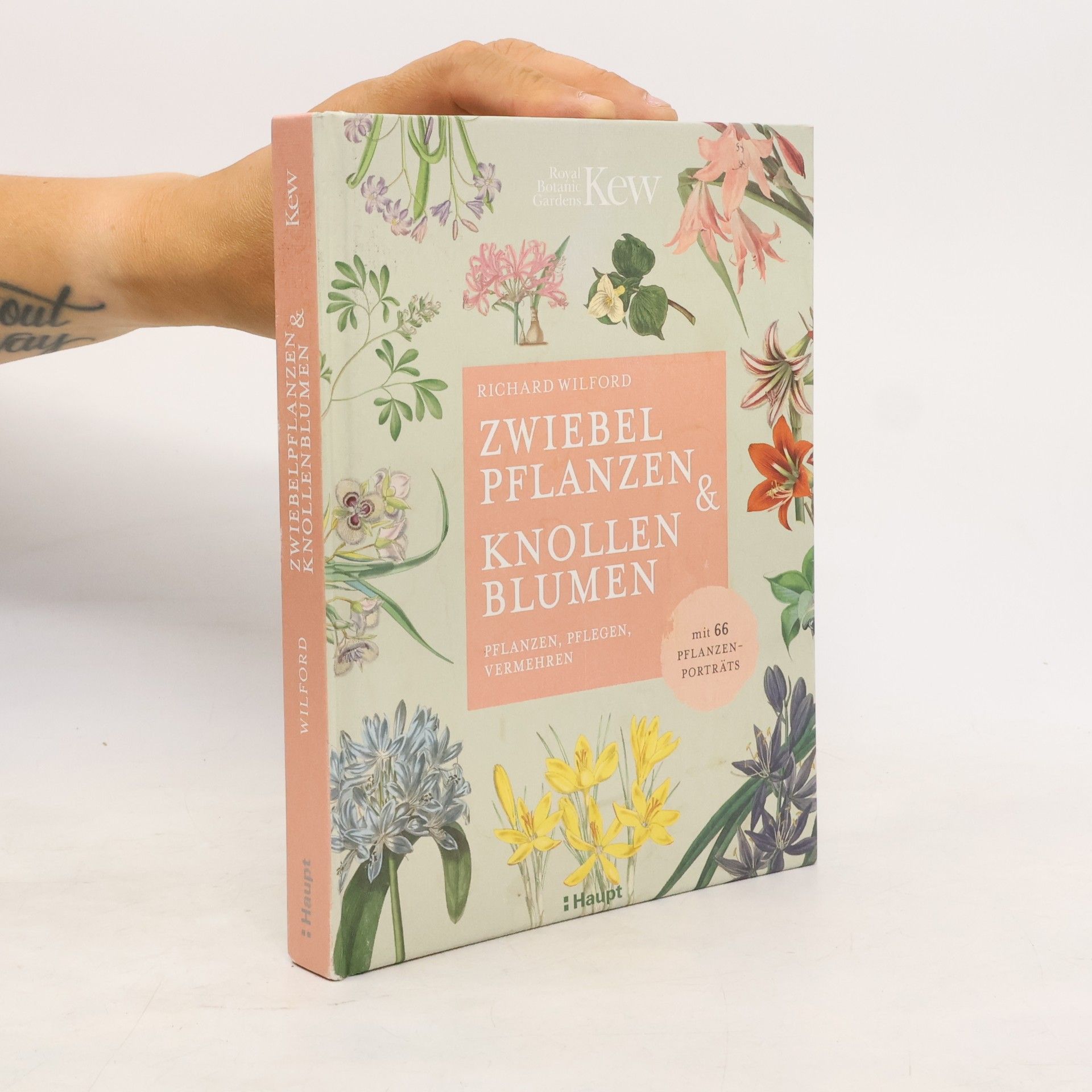 Richard Wilford Zwiebelpflanzen & Knollenblumen