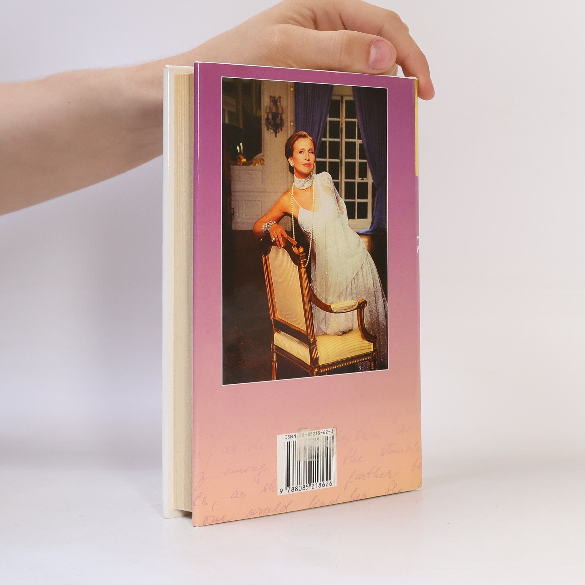 Danielle Steel Návrat domov
