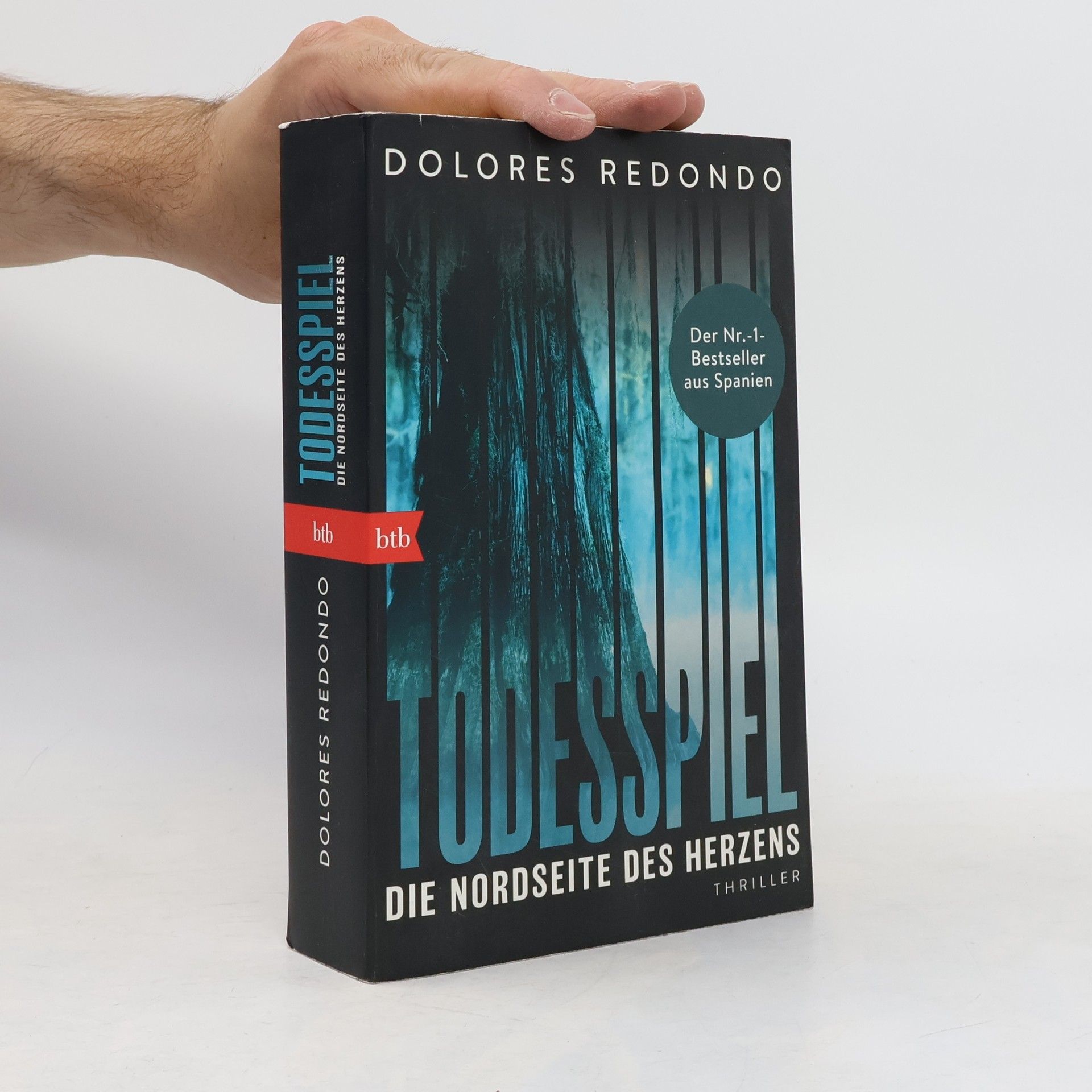 Dolores Redondo Todesspiel. Die Nordseite des Herzens