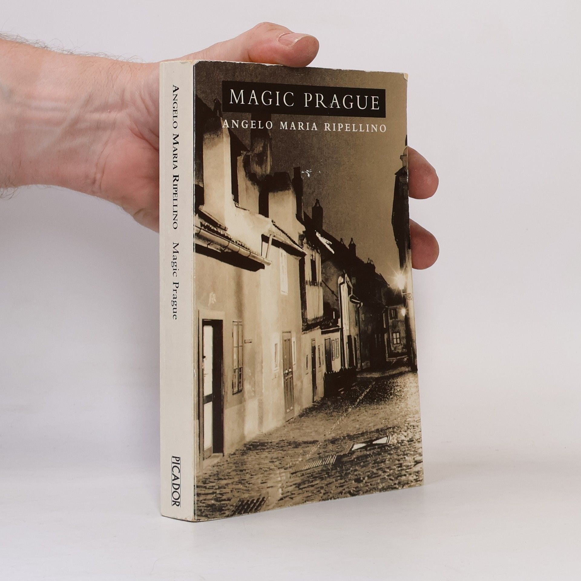 Анджело Мария Рипеллино Magic Prague