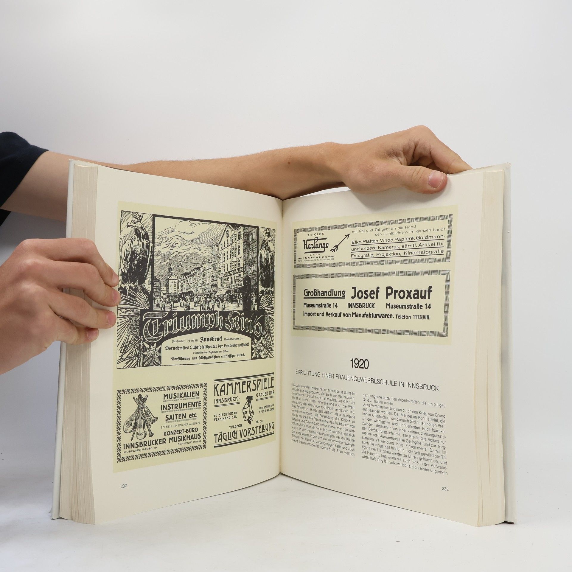 Wolfgang Pfaundler Innsbrucks wirtschaft im spiegelbild der Annoncen 1822- 1981