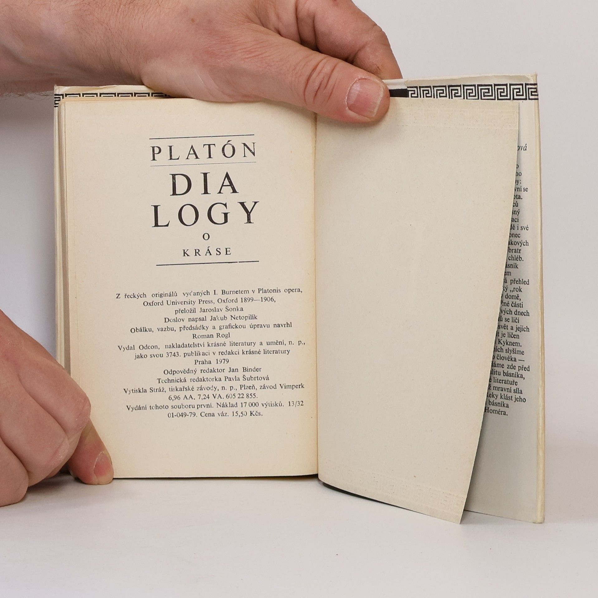 Platón Dialogy o kráse