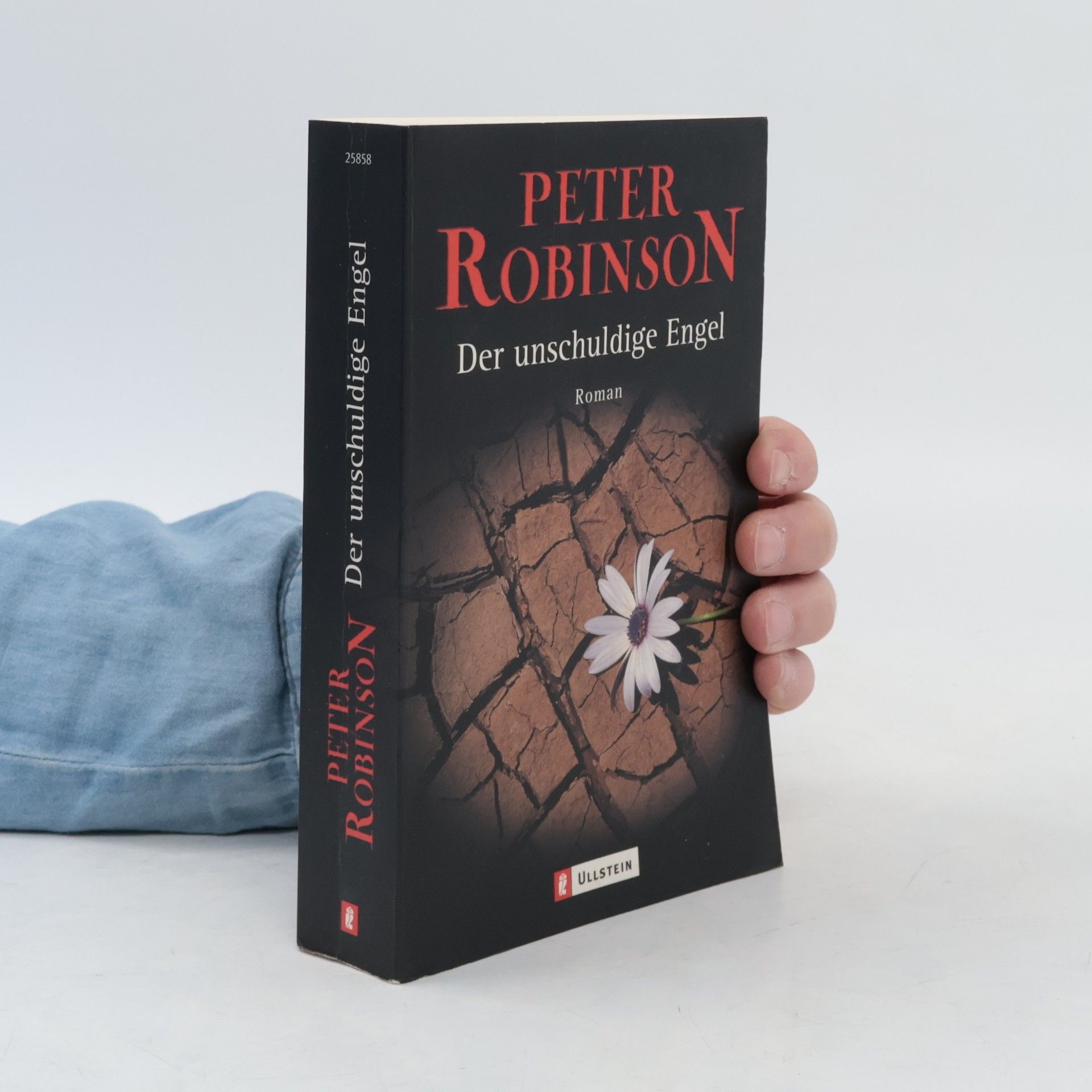 Peter Robinson Der unschuldige Engel
