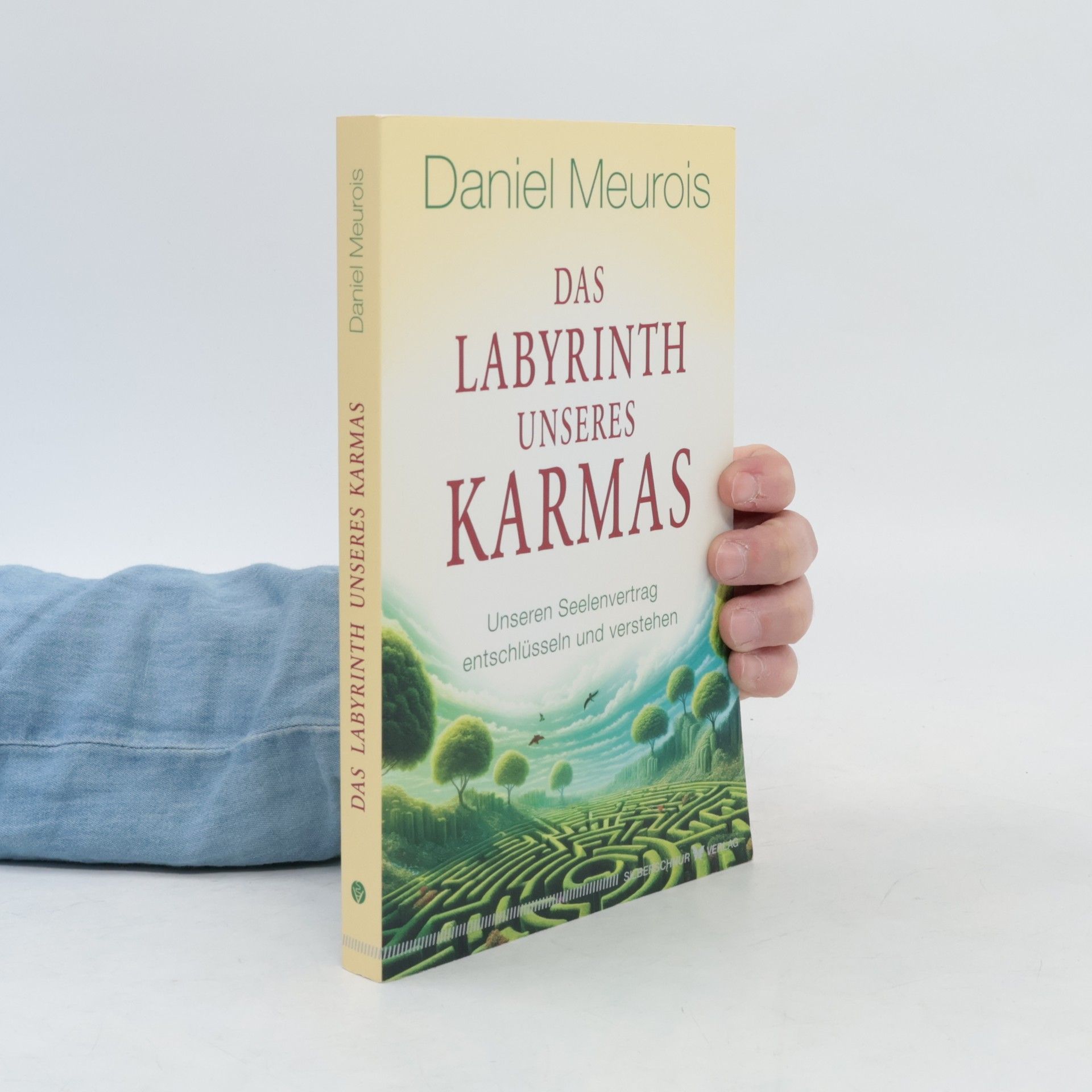 Das Labyrinth unseres Karmas. Unseren Seelenvertrag entschlüsseln und verstehen