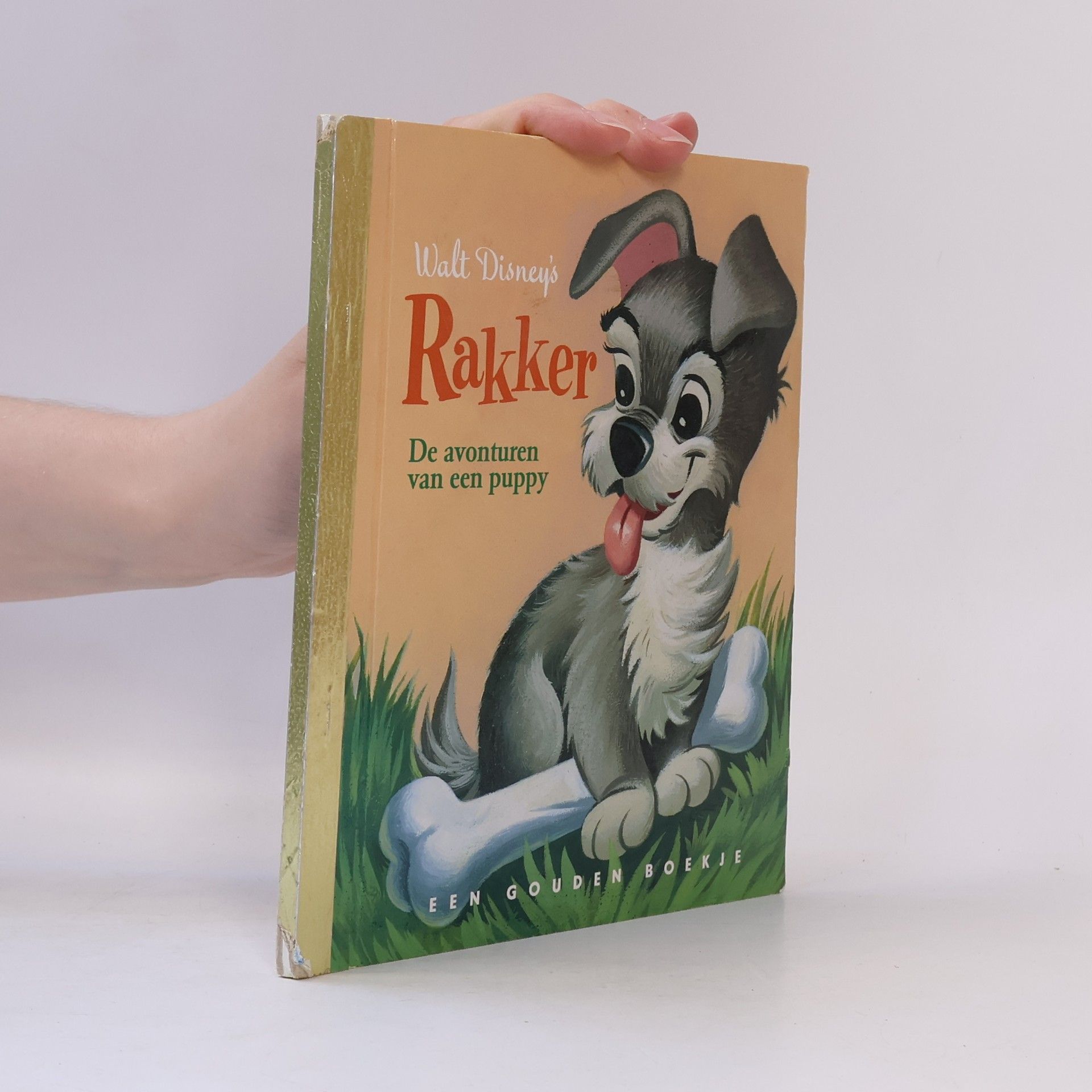 Walt Disney Walt Disney's Gouden Boekje: Rakker
