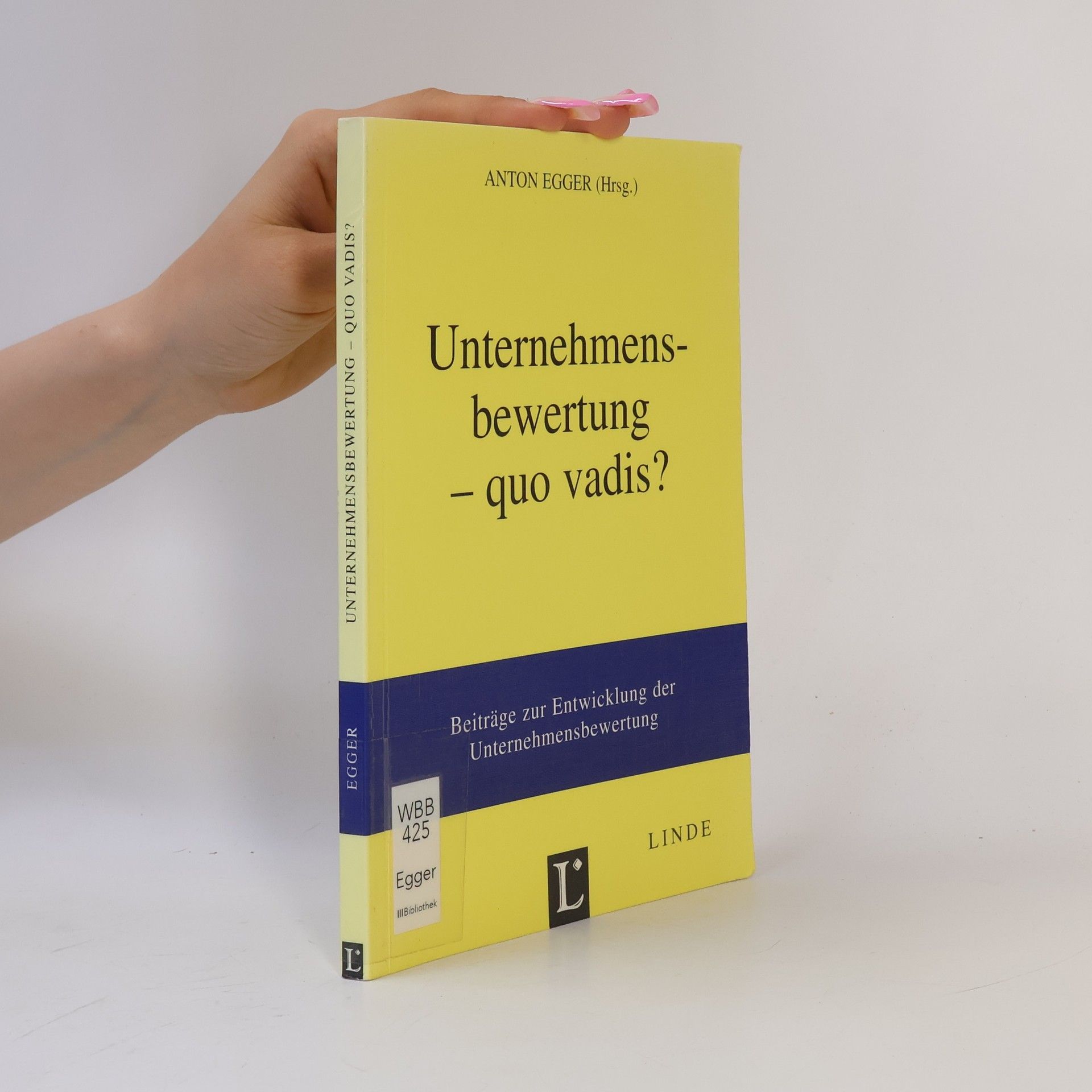 Anton Egger Unternehmensbewertung - quo vadis?