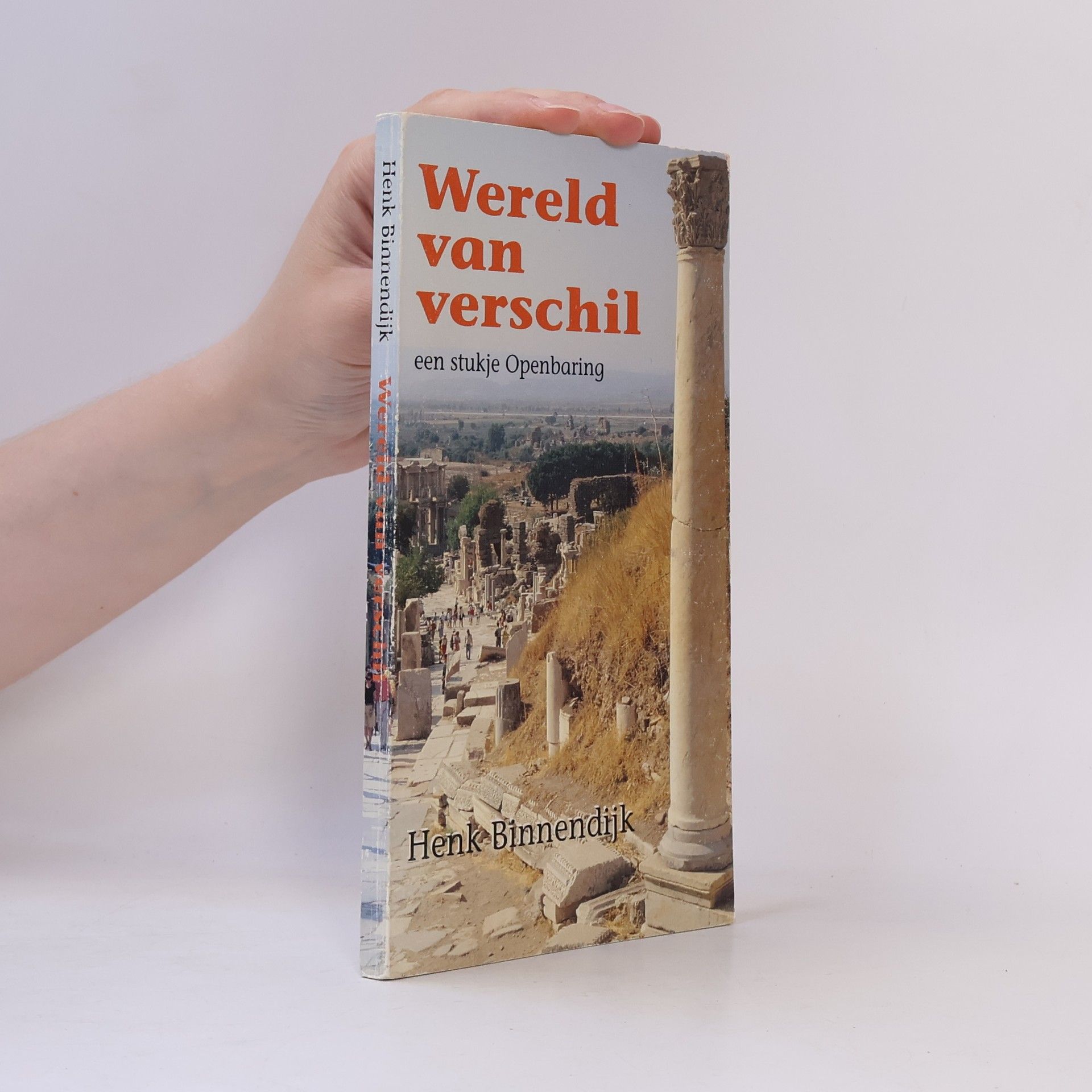 Henk Binnendijk Wereld van verschil