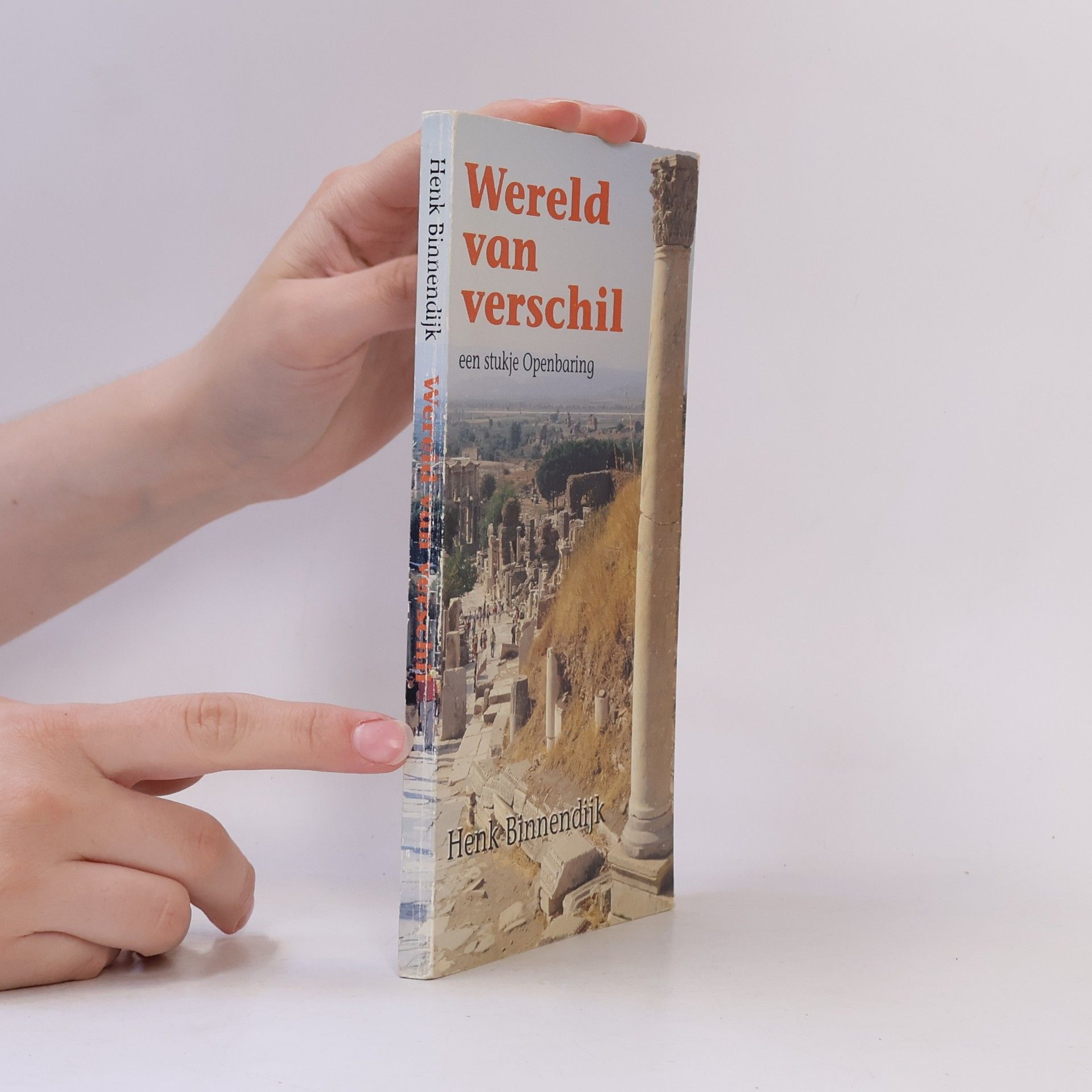 Henk Binnendijk Wereld van verschil
