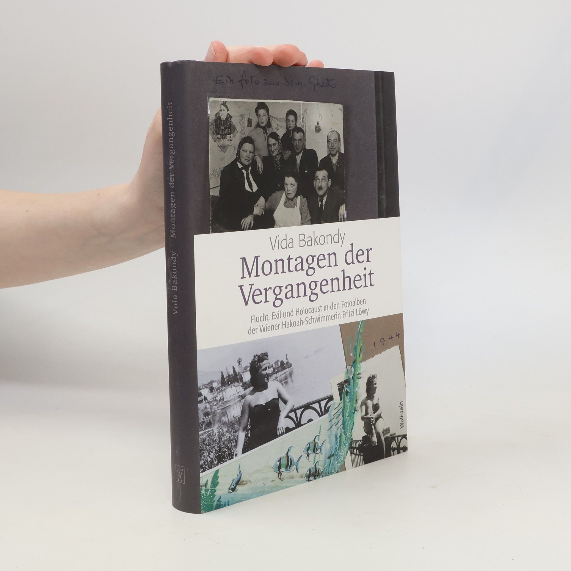Vida Bakondy Montagen der Vergangenheit