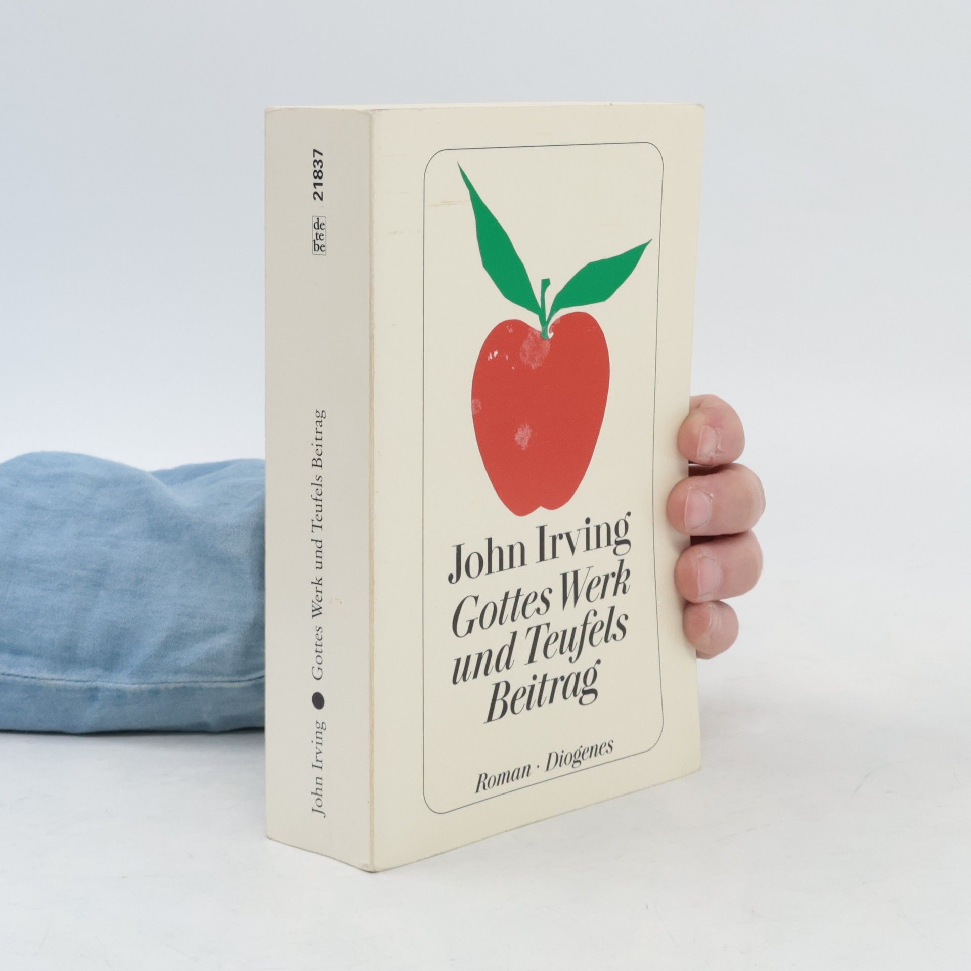 John Irving Gottes Werk und Teufels Beitrag