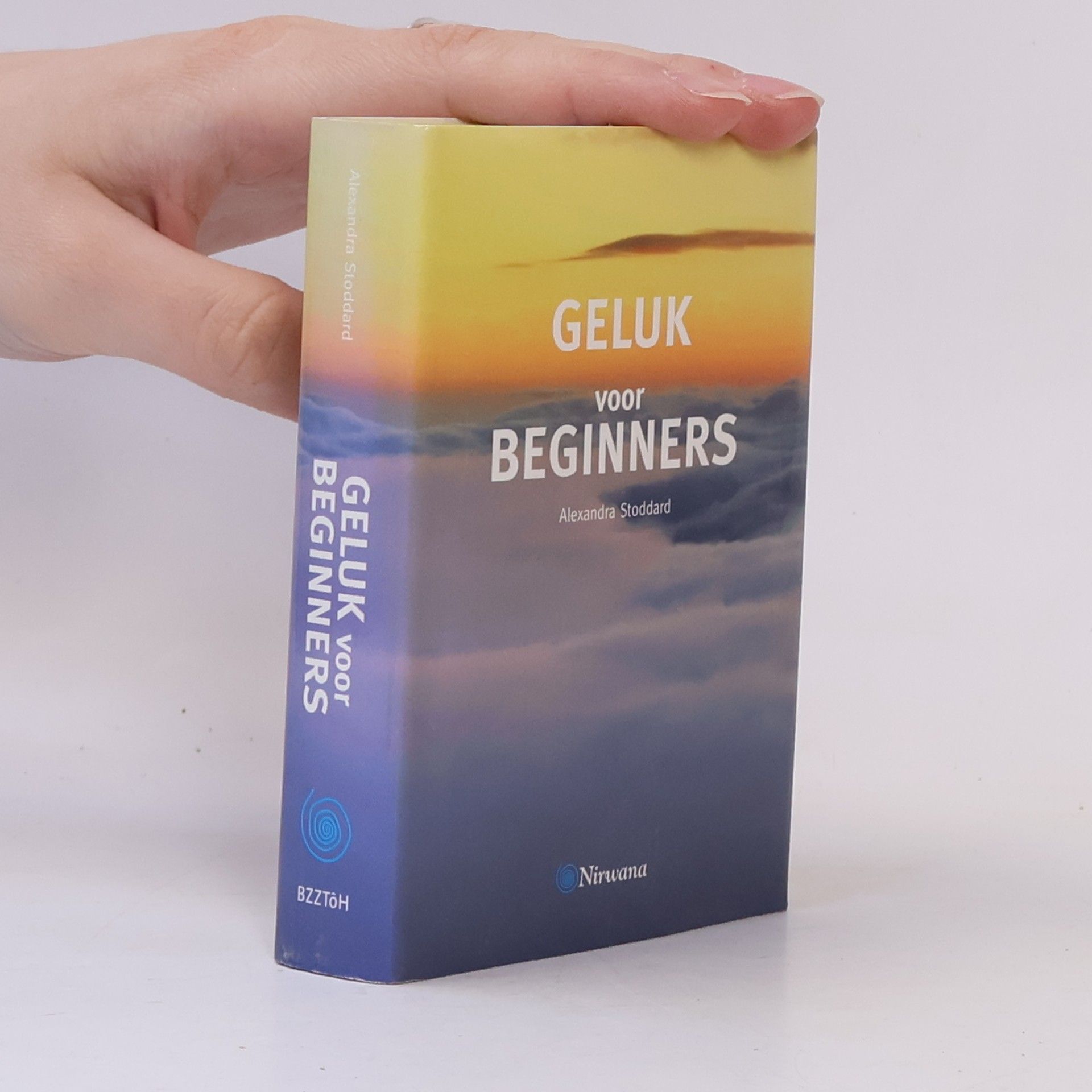 Alexandra Stoddard Geluk voor beginners