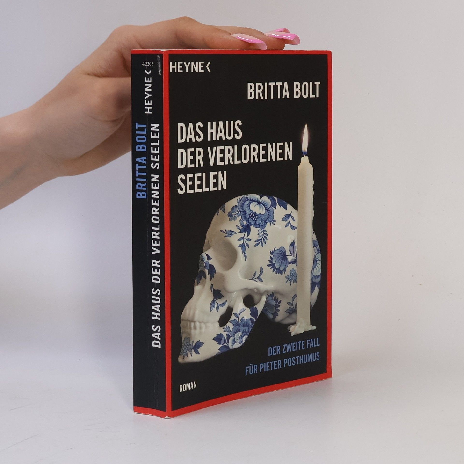Britta Bolt Das Haus der verlorenen Seelen