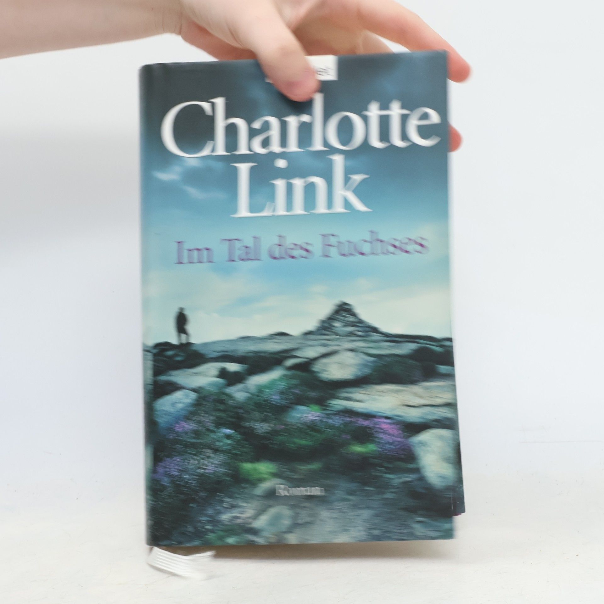 Charlotte Link Im Tal des Fuchses