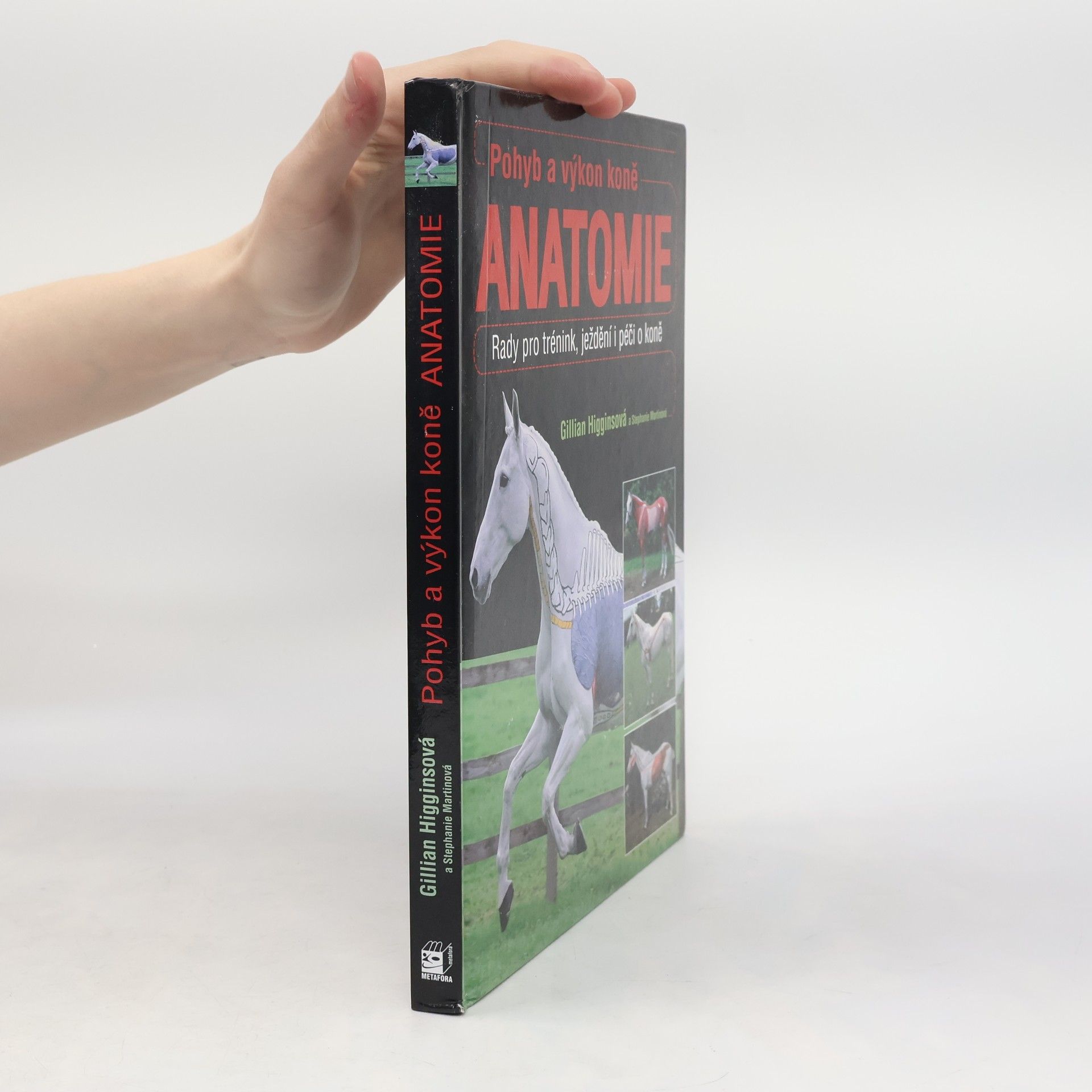 Gillian Higgins Pohyb a výkon koně. Anatomie