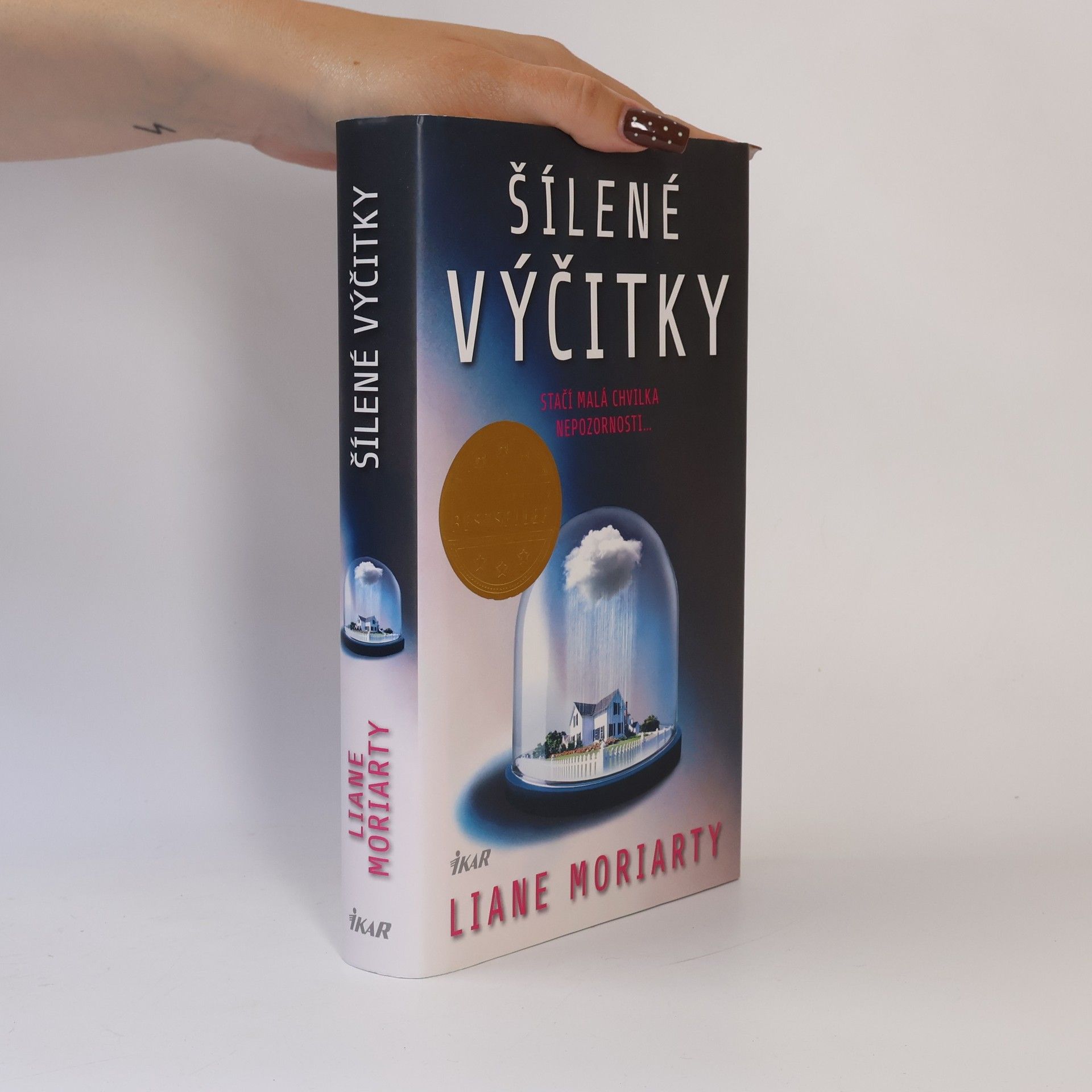 Liane Moriarty Šílené výčitky