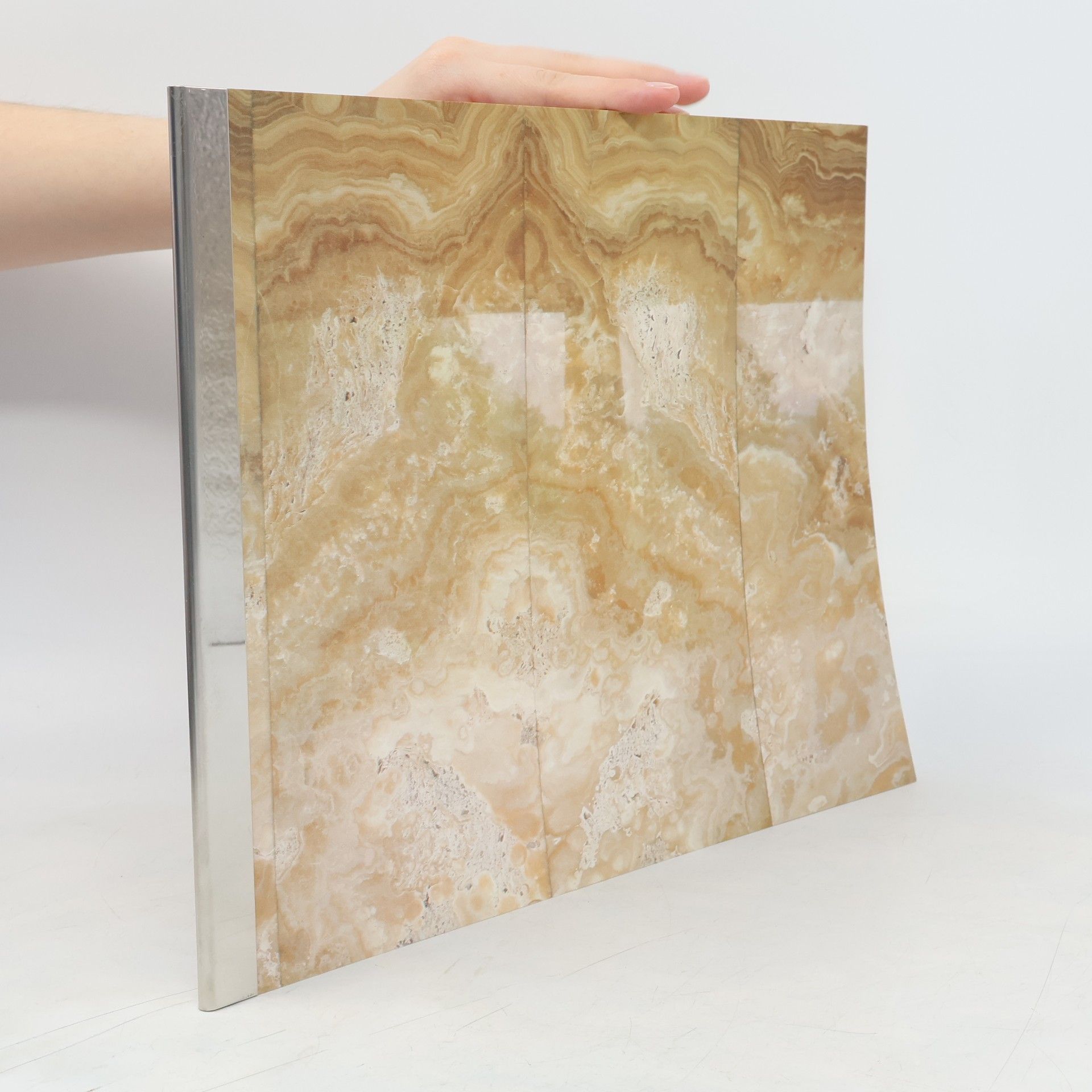 The Villa of the Tugendhats