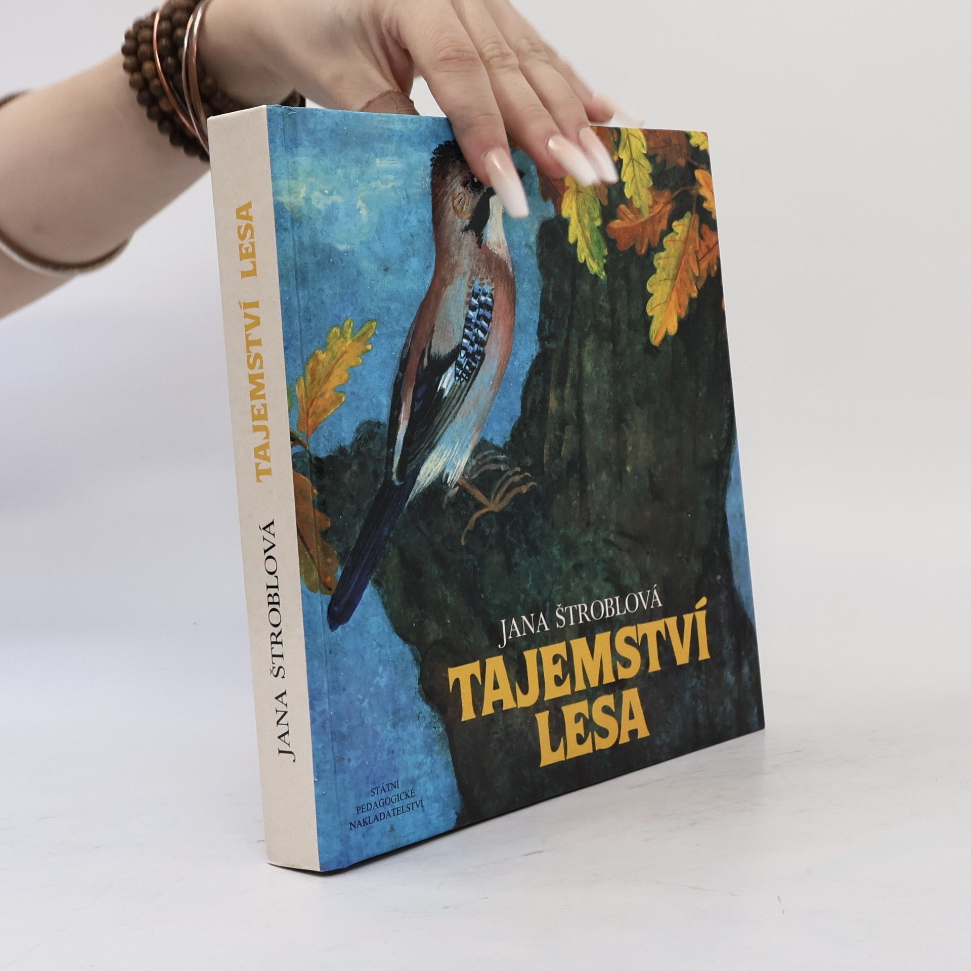 Tajemství lesa