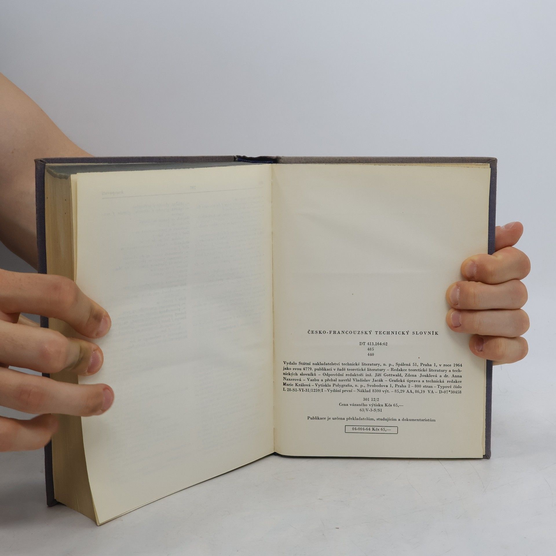 Autores varios Česko-francouzský technický slovník