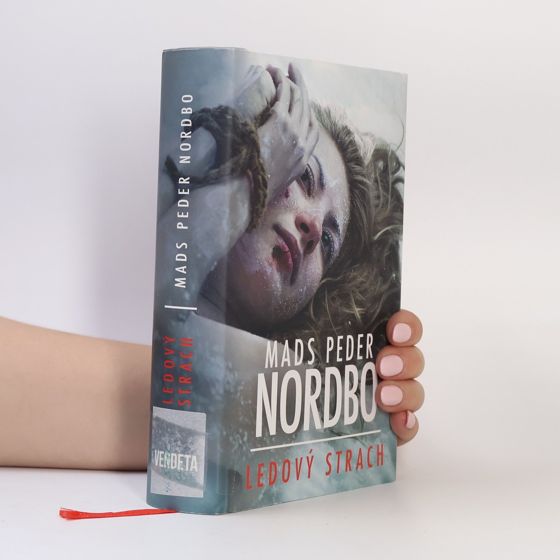 Mads Peder Nordbo Ledový strach