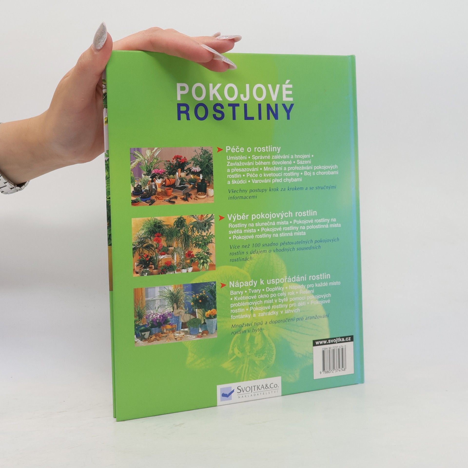 Anja Flehming Pokojové rostliny