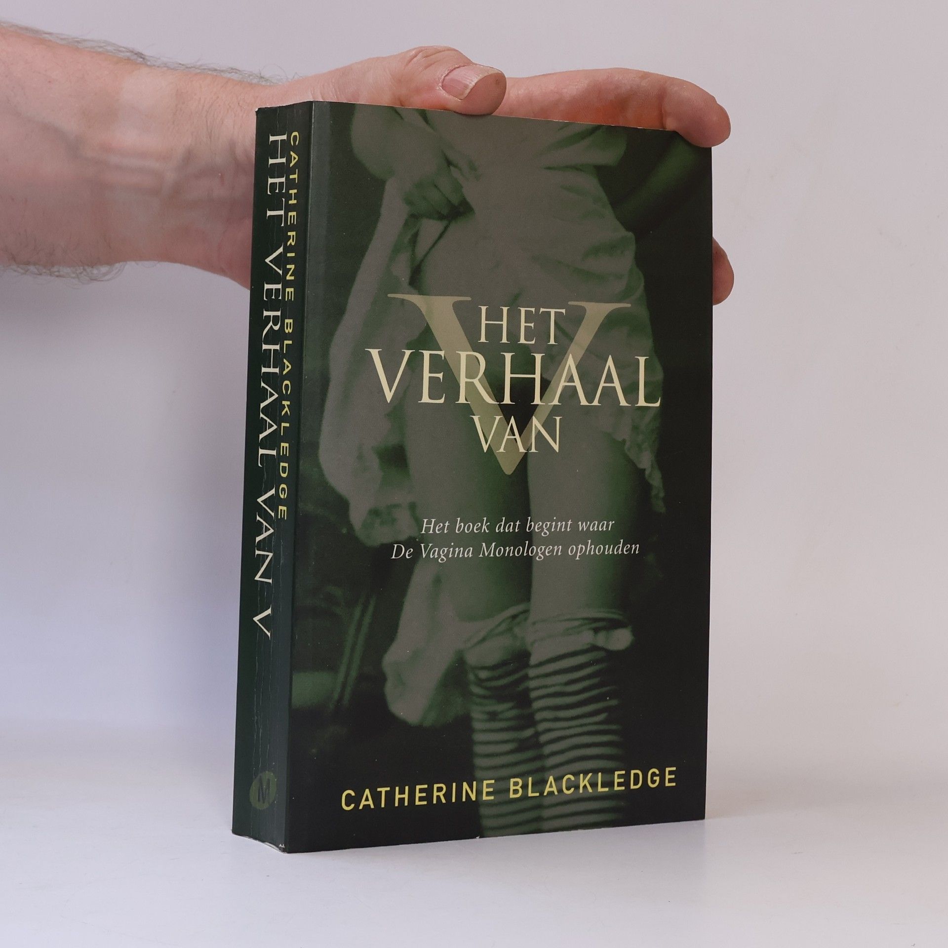 Het verhaal van V